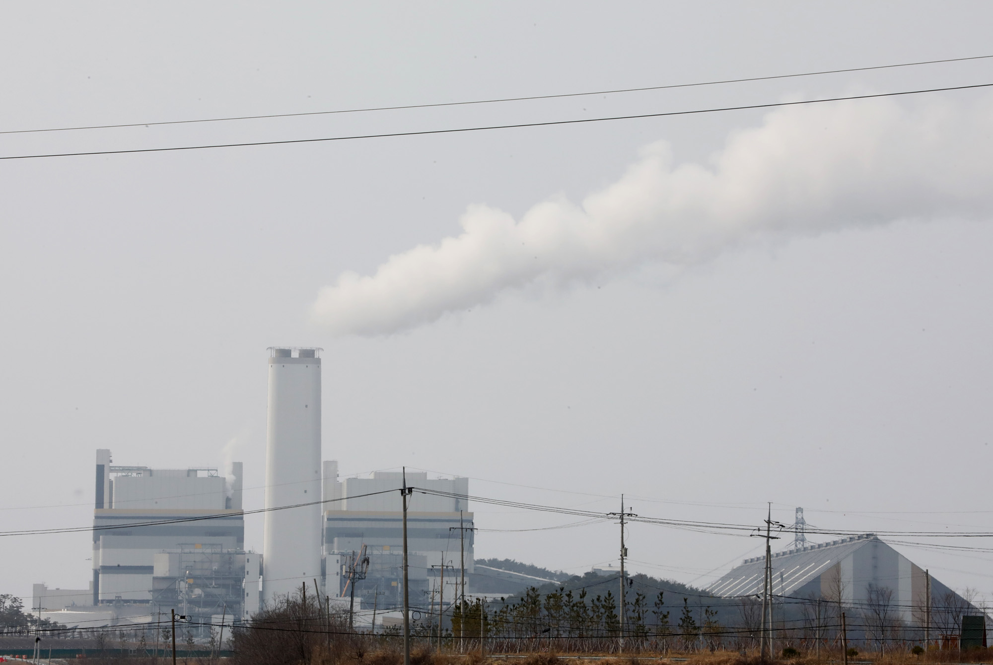 미세먼지;화력발전소;보령;보령화력