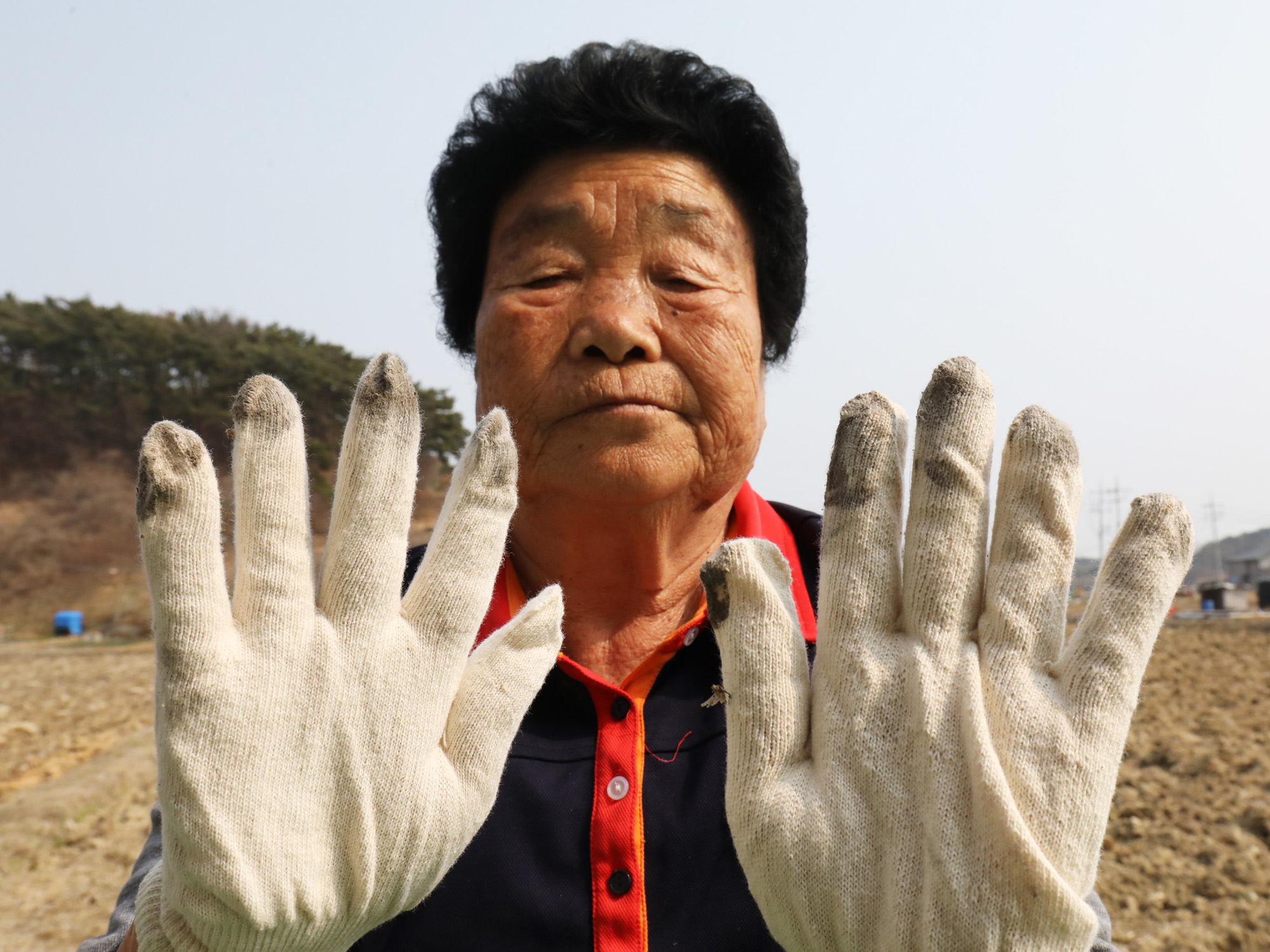 미세먼지;화력발전소;보령;보령화력