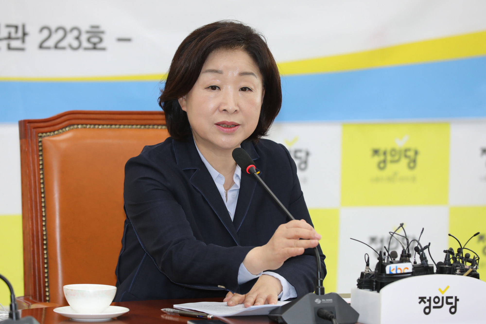 정치개혁특별위원회;심상정위원장;공직선거법개정안발의