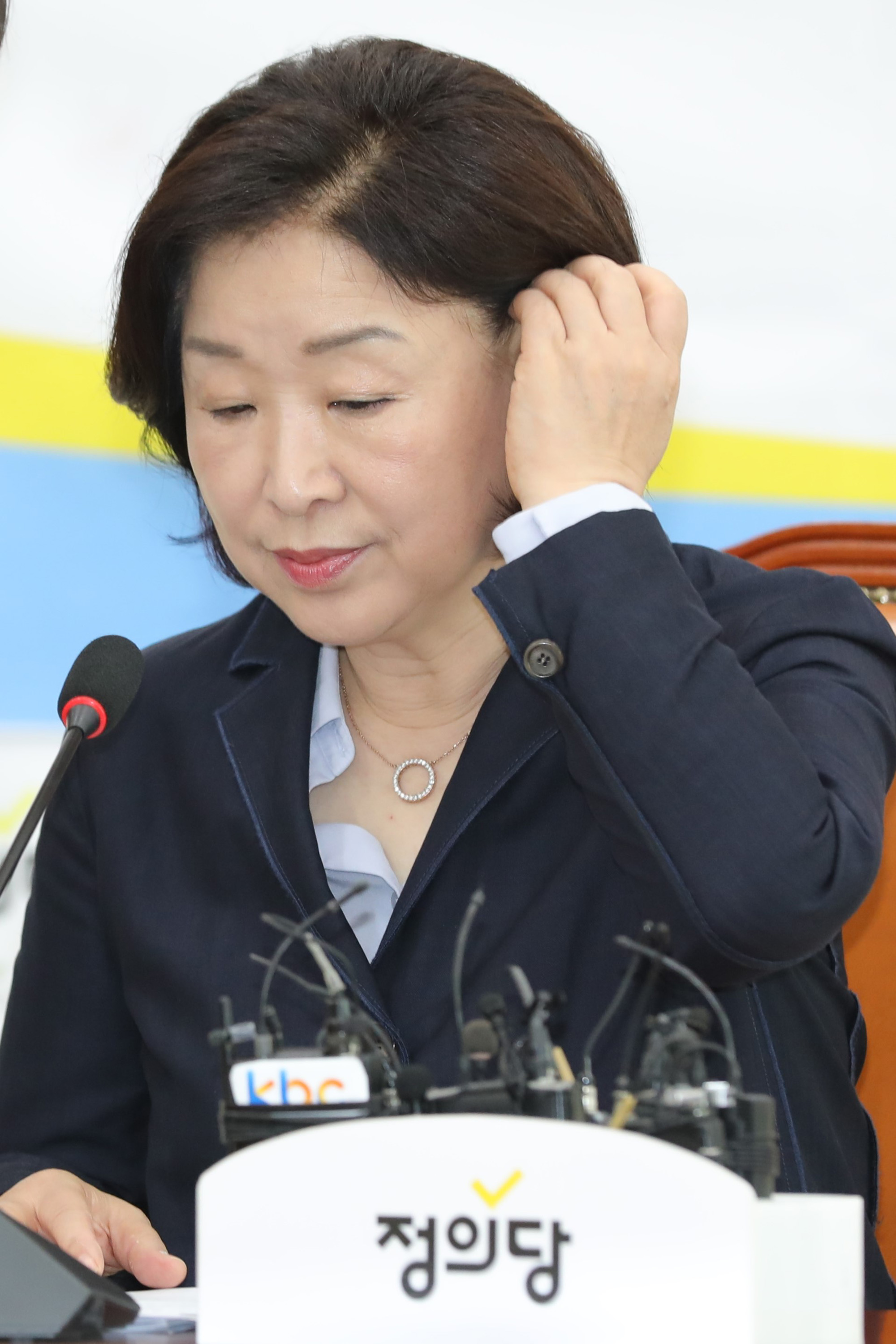 정치개혁특별위원회;심상정위원장;공직선거법개정안발의