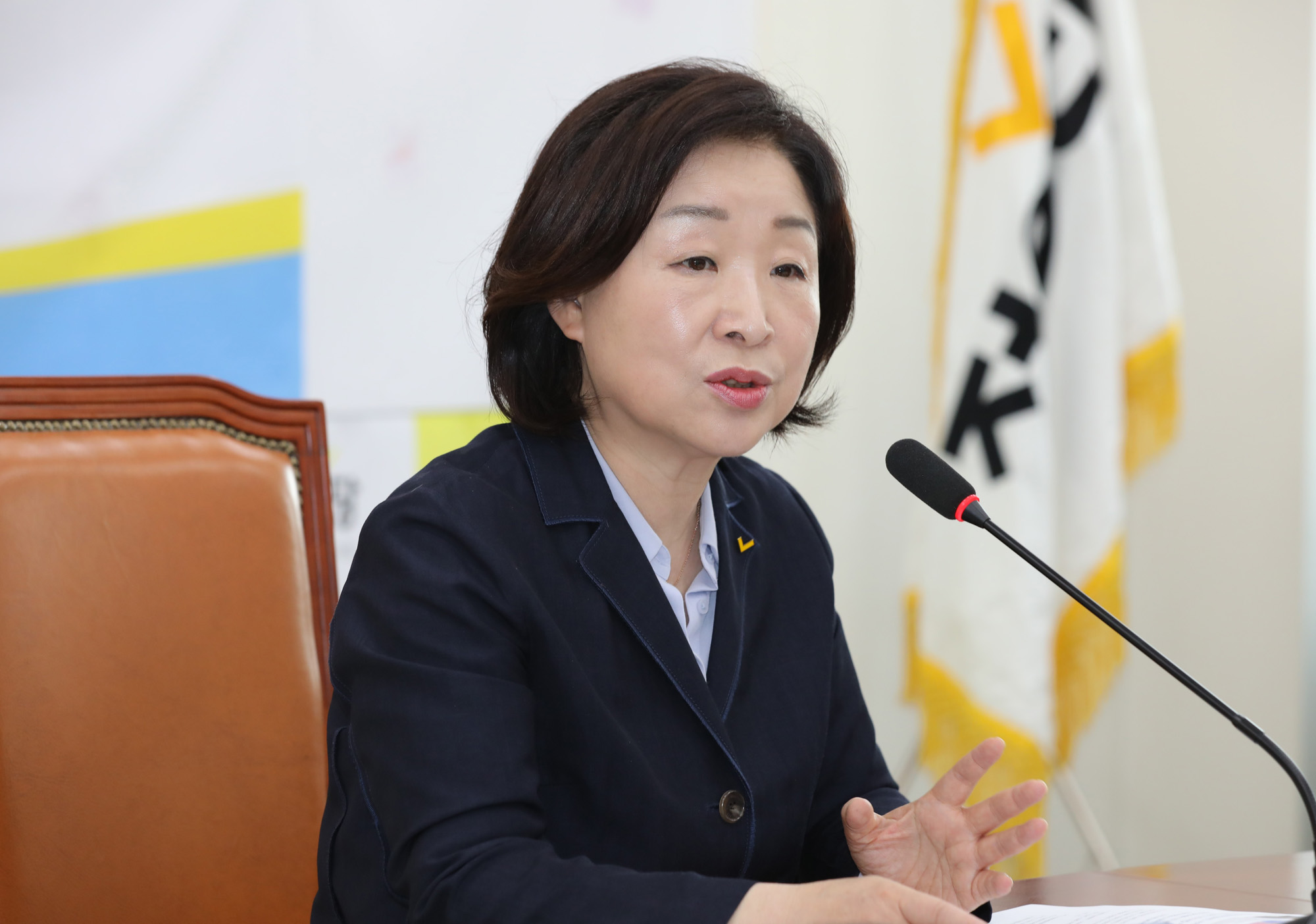 정치개혁특별위원회;심상정위원장;공직선거법개정안발의