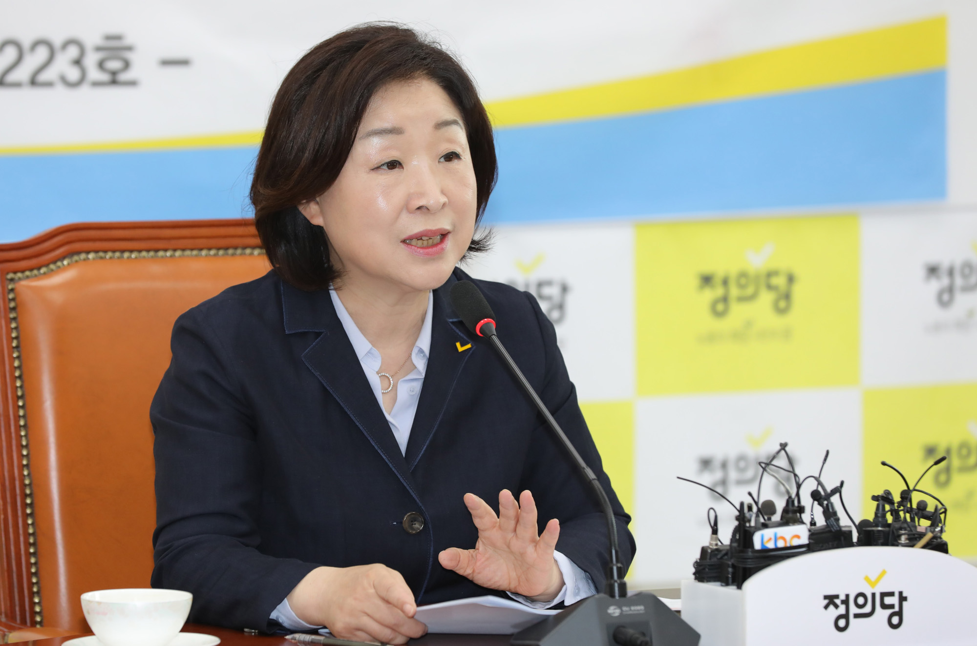 정치개혁특별위원회;심상정위원장;공직선거법개정안발의