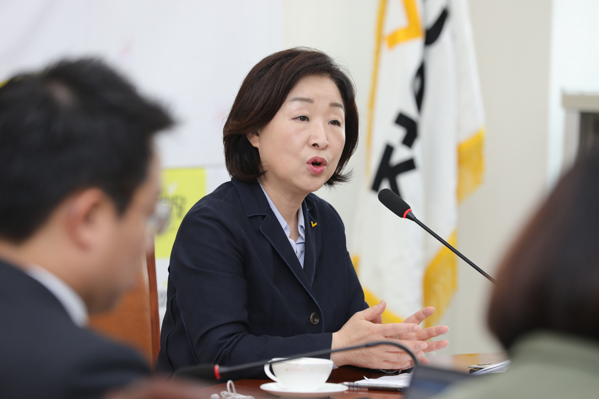 정치개혁특별위원회;심상정위원장;공직선거법개정안발의