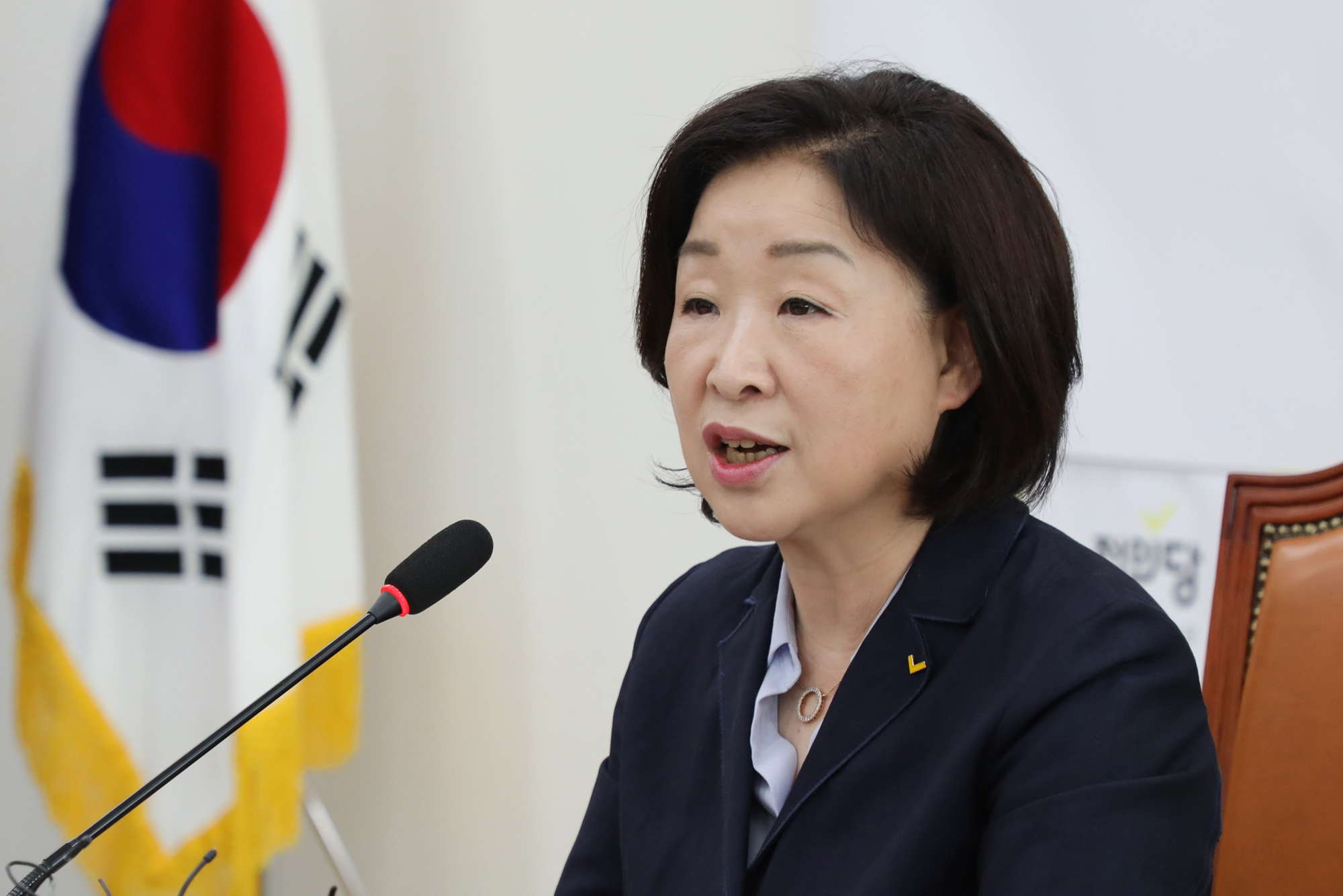 정치개혁특별위원회;심상정위원장;공직선거법개정안발의