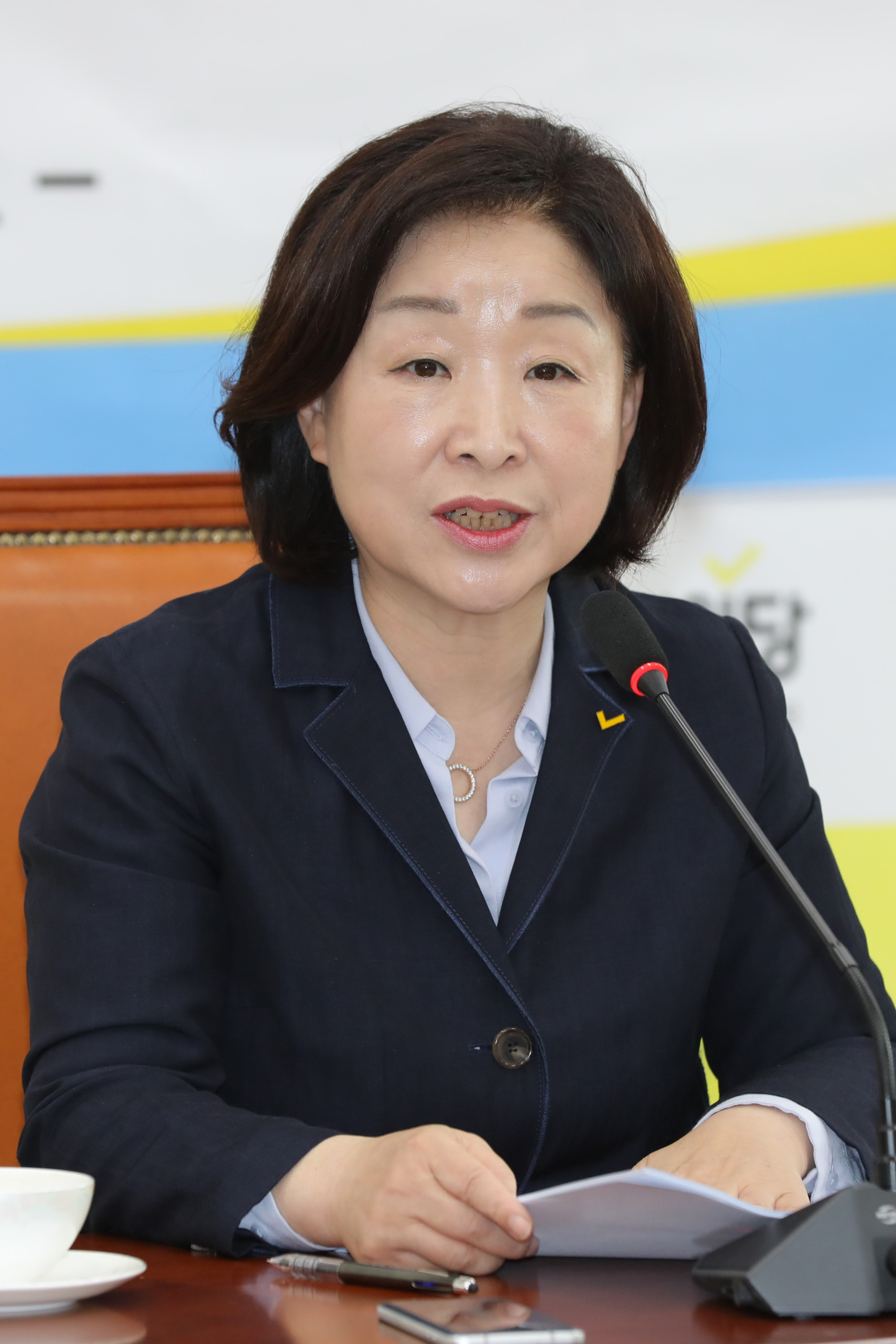 정치개혁특별위원회;심상정위원장;공직선거법개정안발의