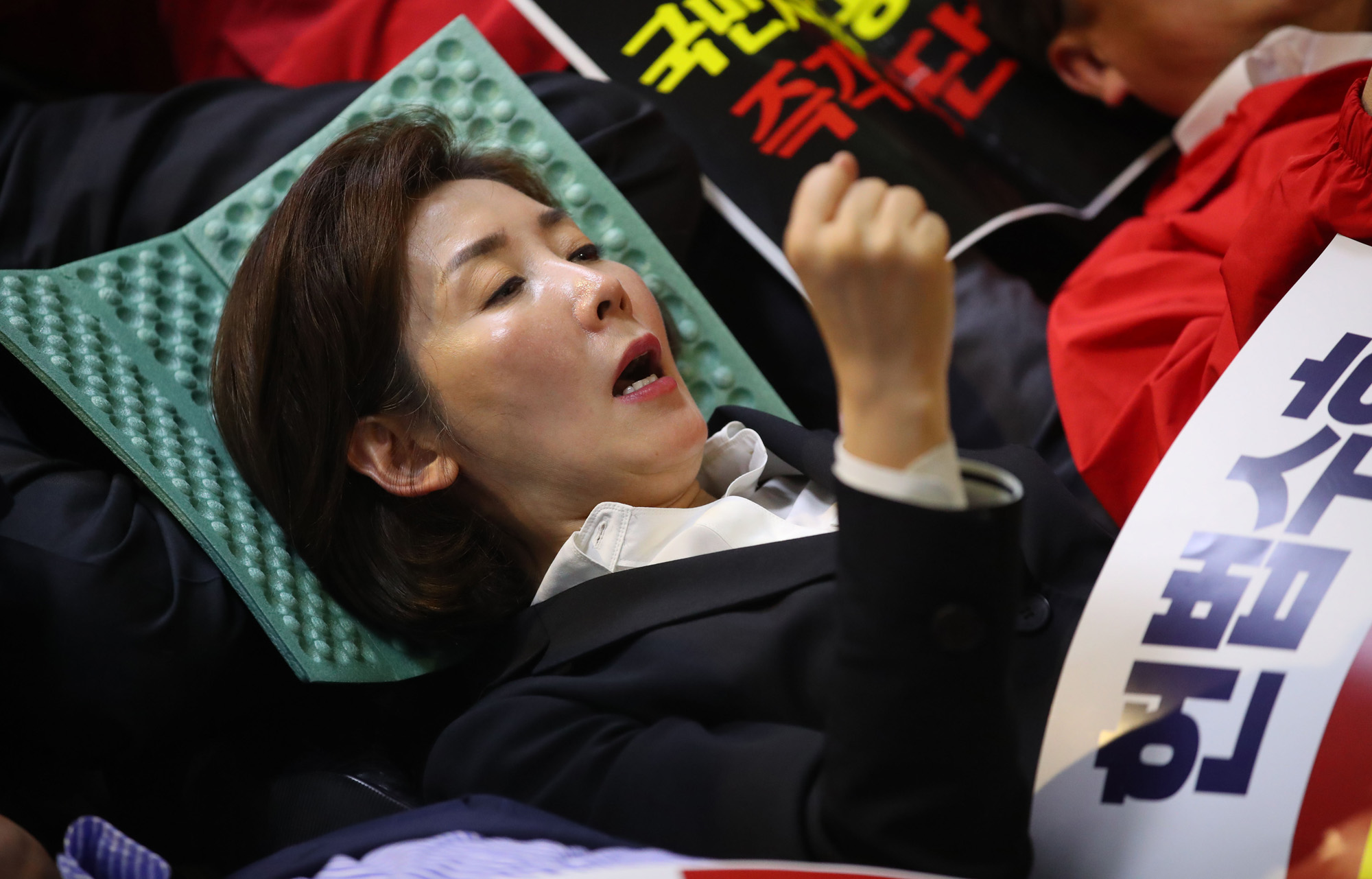 정치개혁특별위원회;선거제개혁안;패스트트랙지정;나경원원내대표;항의하는자유한국당