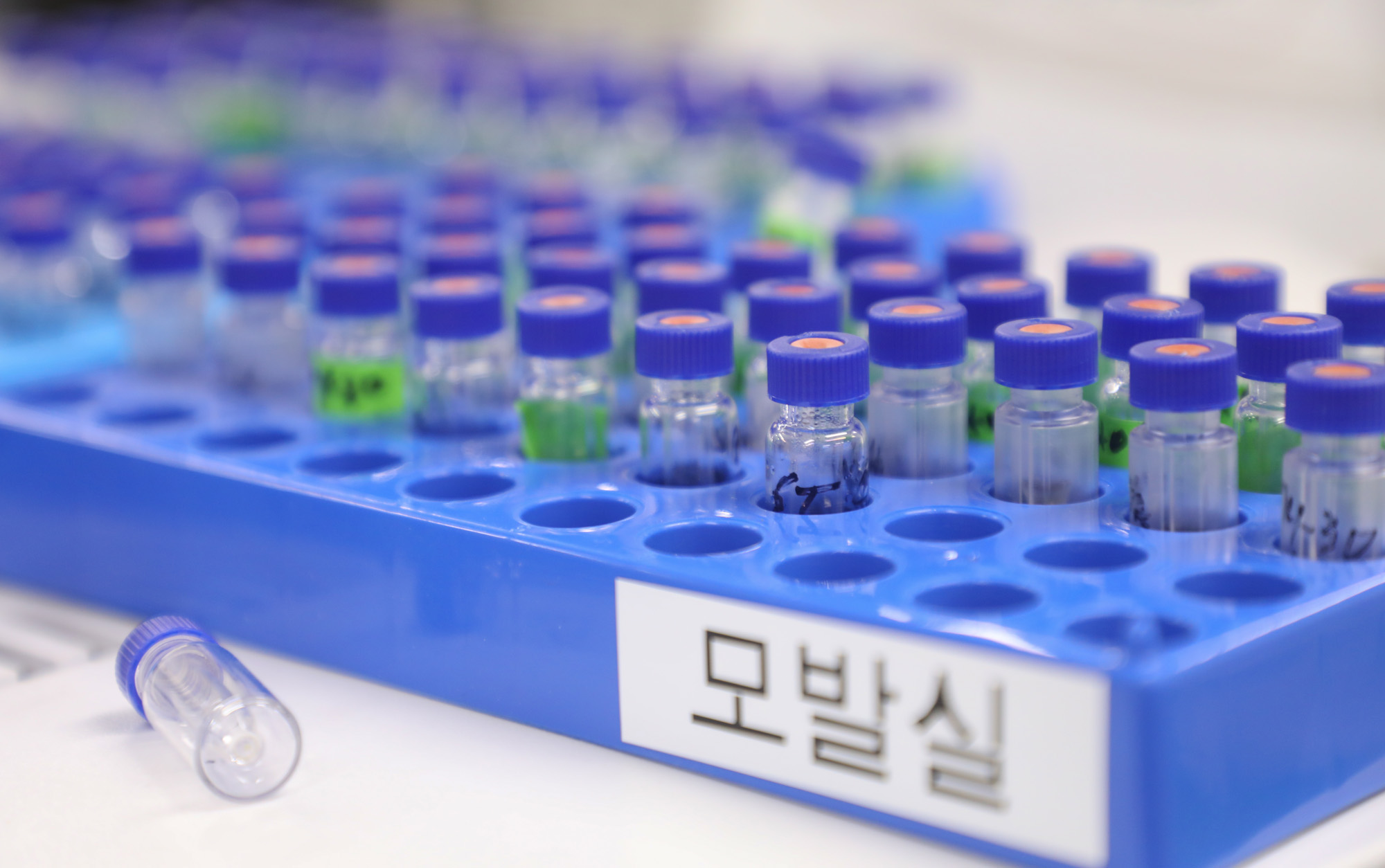 국립과학수사연구원;국가수;마약;마약검사;필로폰;대마초;히로뽕;물뽕;모발검사