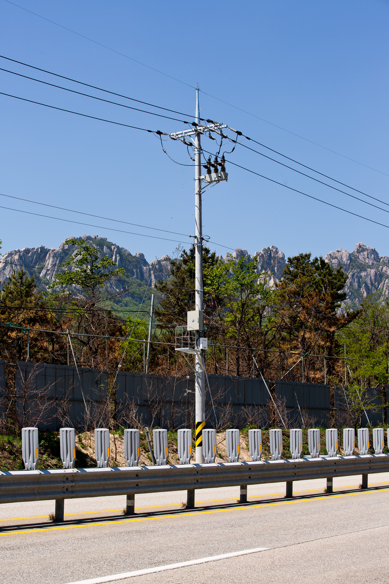 사회;사건사고;천재지변;화재;대형산불;강원산불;고성산불;강원도화재