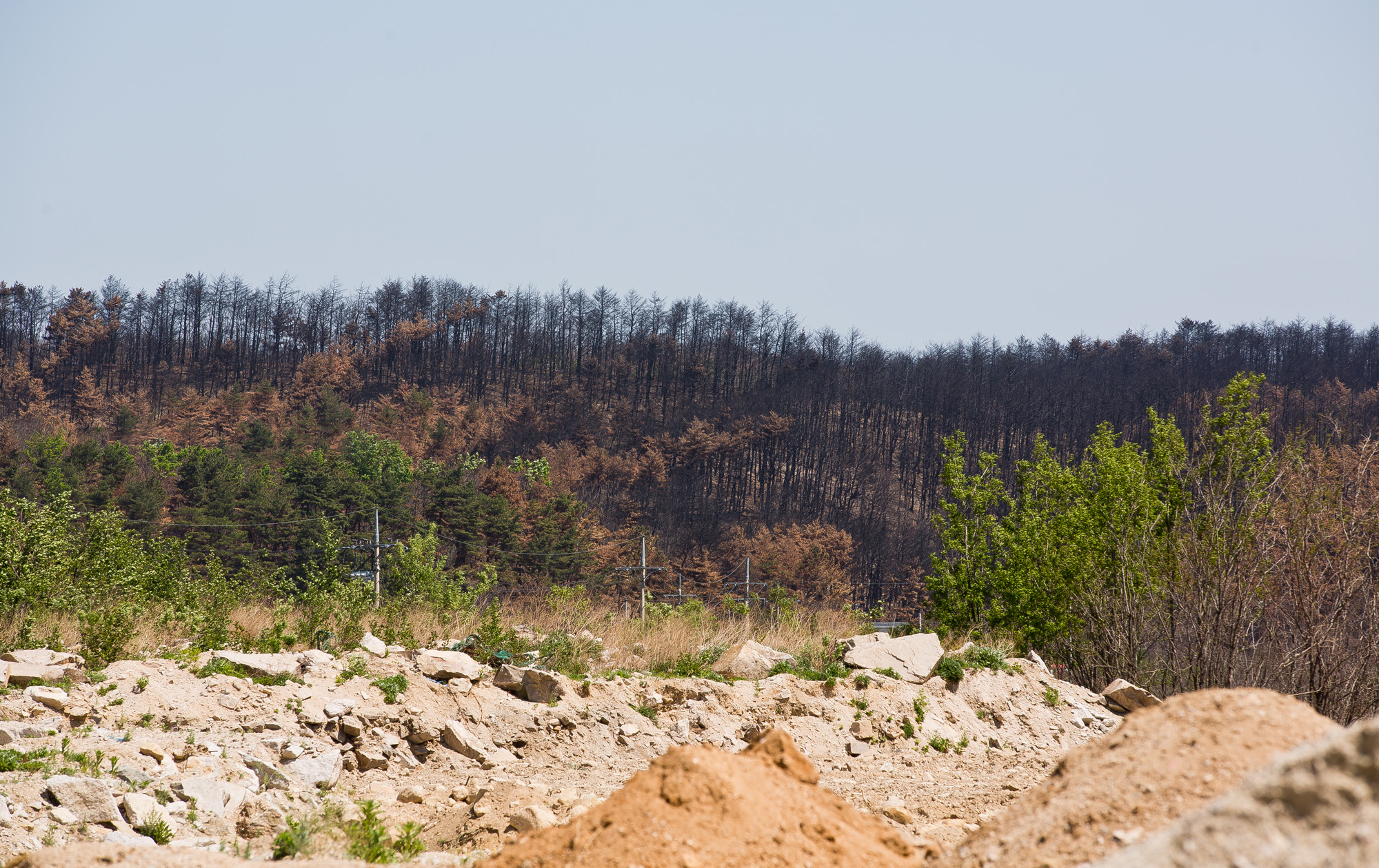 사회;사건사고;천재지변;화재;대형산불;강원산불;고성산불;강원도화재