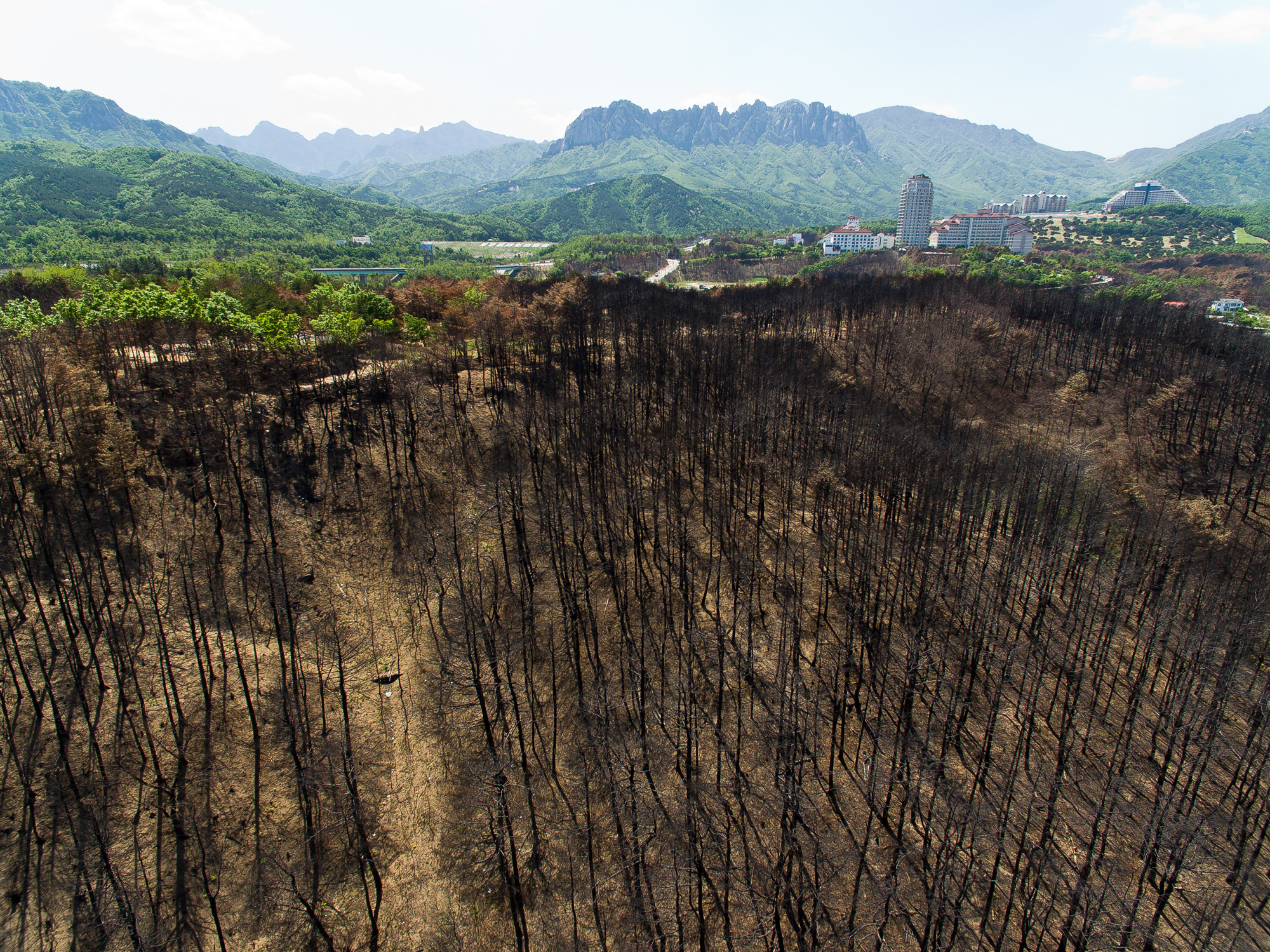 사회;사건사고;천재지변;화재;대형산불;강원산불;고성산불;강원도화재