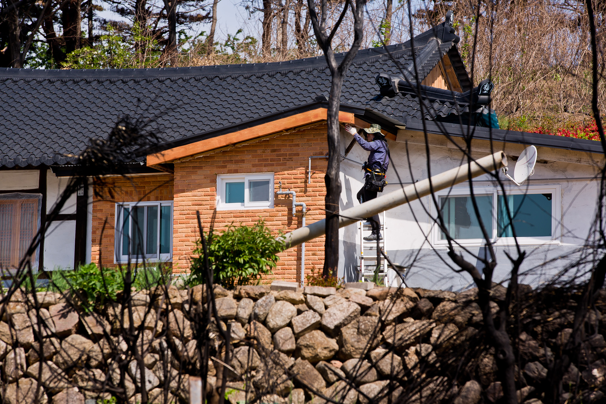 사회;사건사고;천재지변;화재;대형산불;강원산불;고성산불;강원도화재
