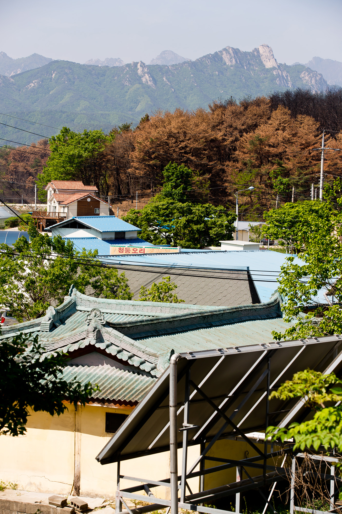 사회;사건사고;천재지변;화재;대형산불;강원산불;고성산불;강원도화재