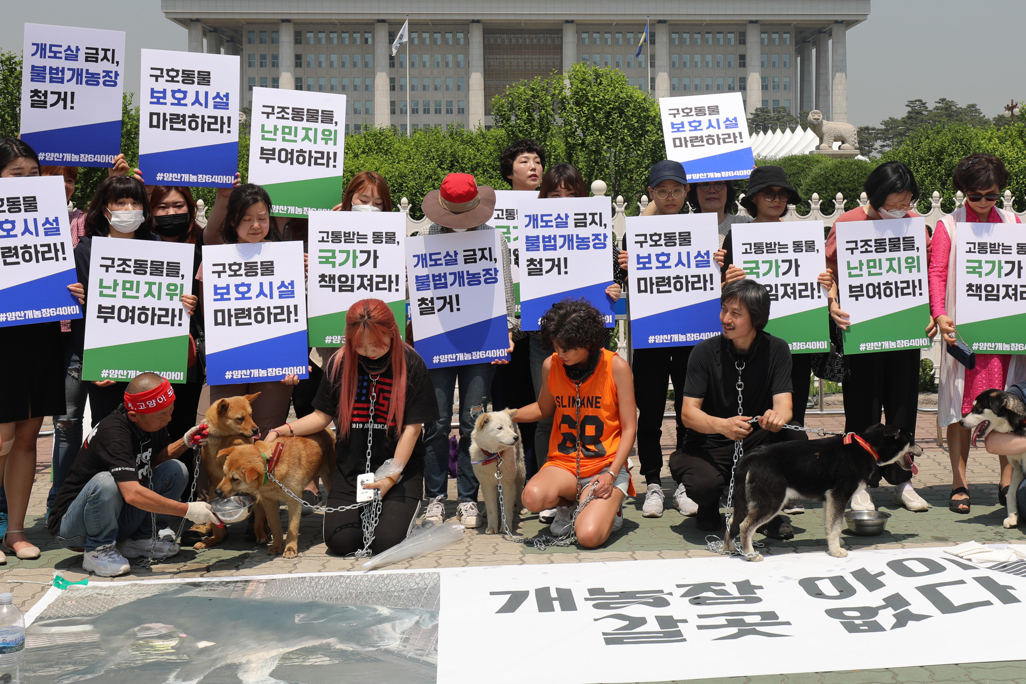 동물을사랑하는시민과개인동물보호가들;양산불법개농장;구조견보호소마련;동물보호소;양산개농장64아이