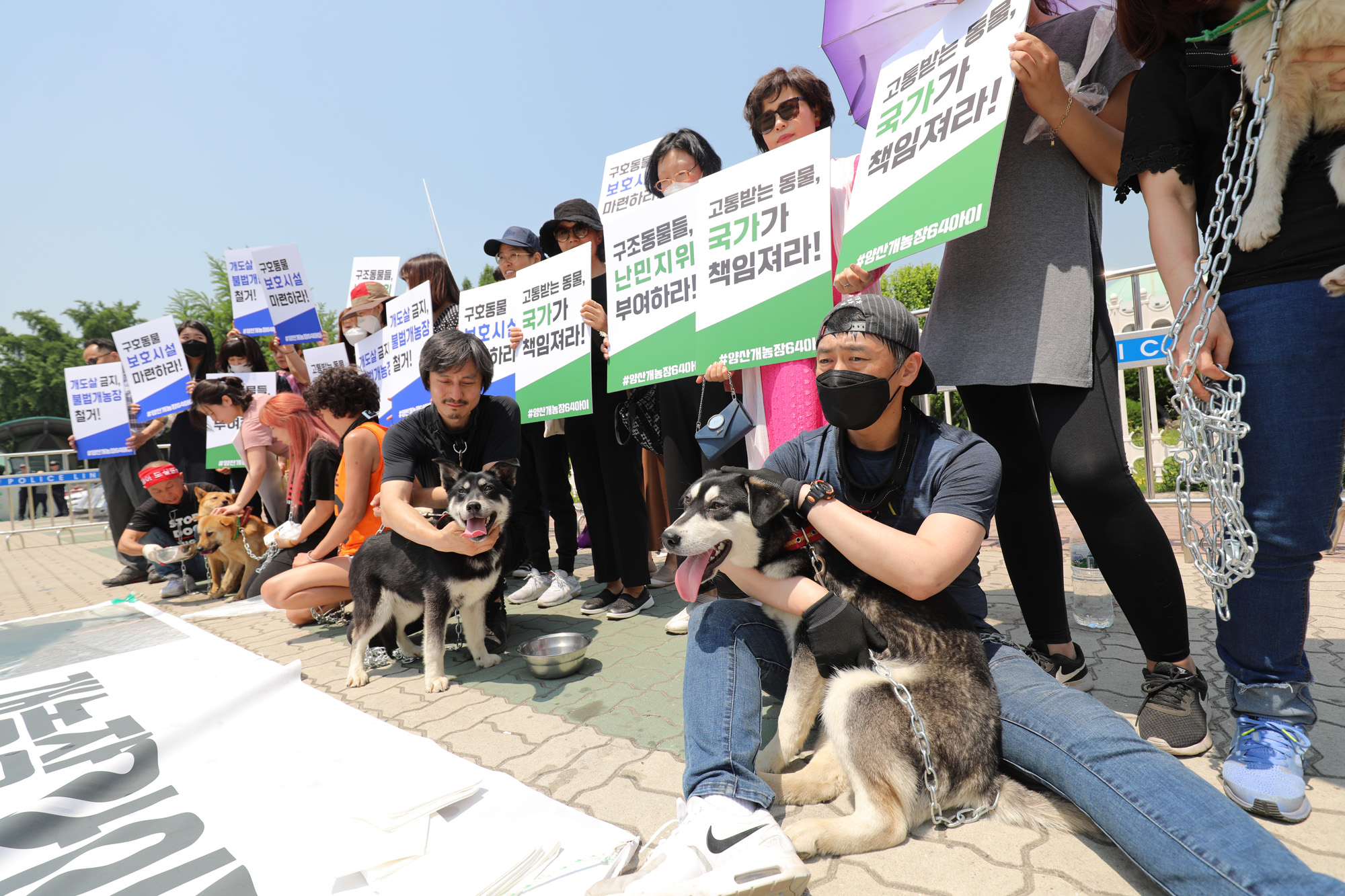 동물을사랑하는시민과개인동물보호가들;양산불법개농장;구조견보호소마련;동물보호소;양산개농장64아이