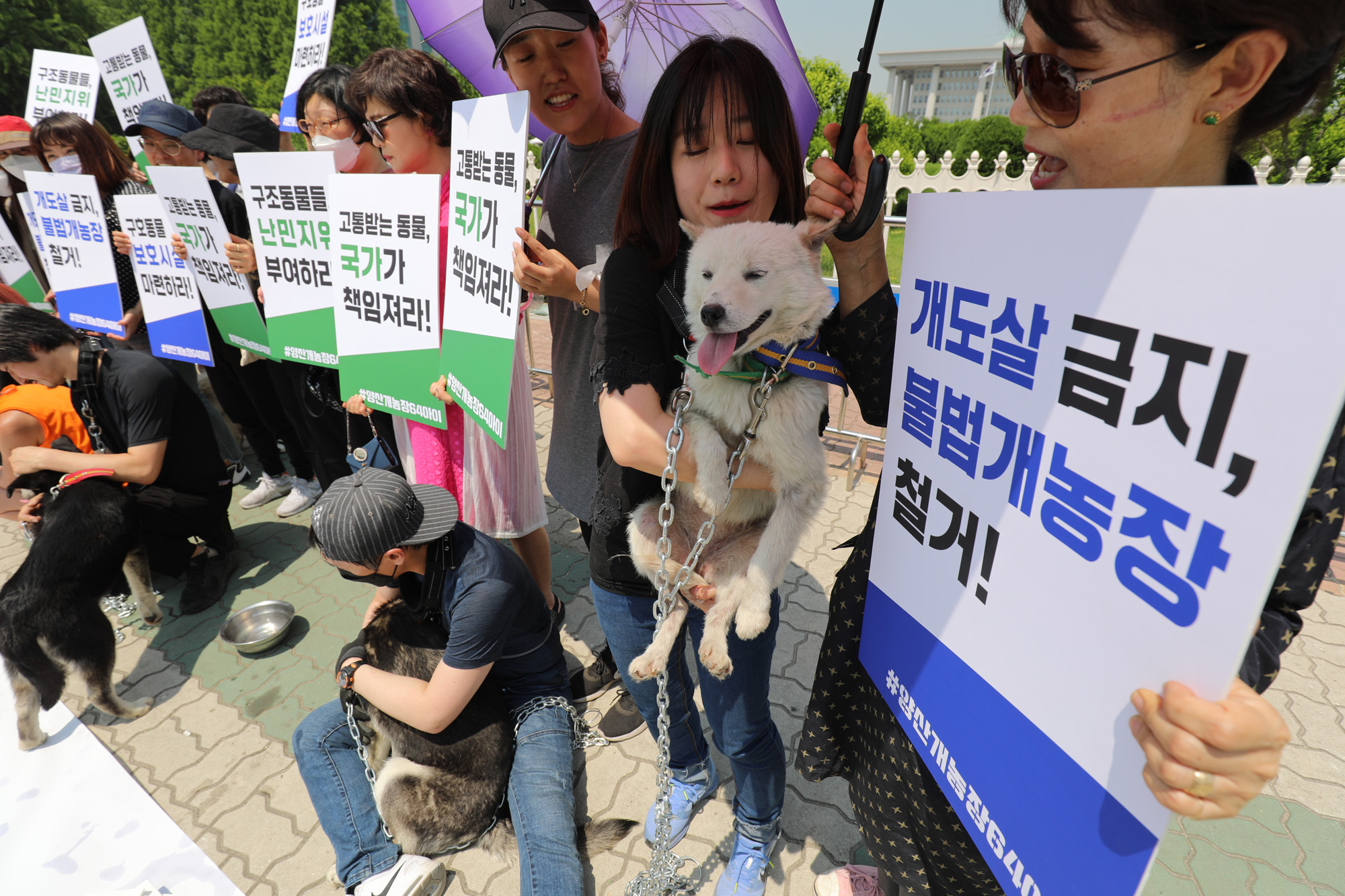 동물을사랑하는시민과개인동물보호가들;양산불법개농장;구조견보호소마련;동물보호소;양산개농장64아이