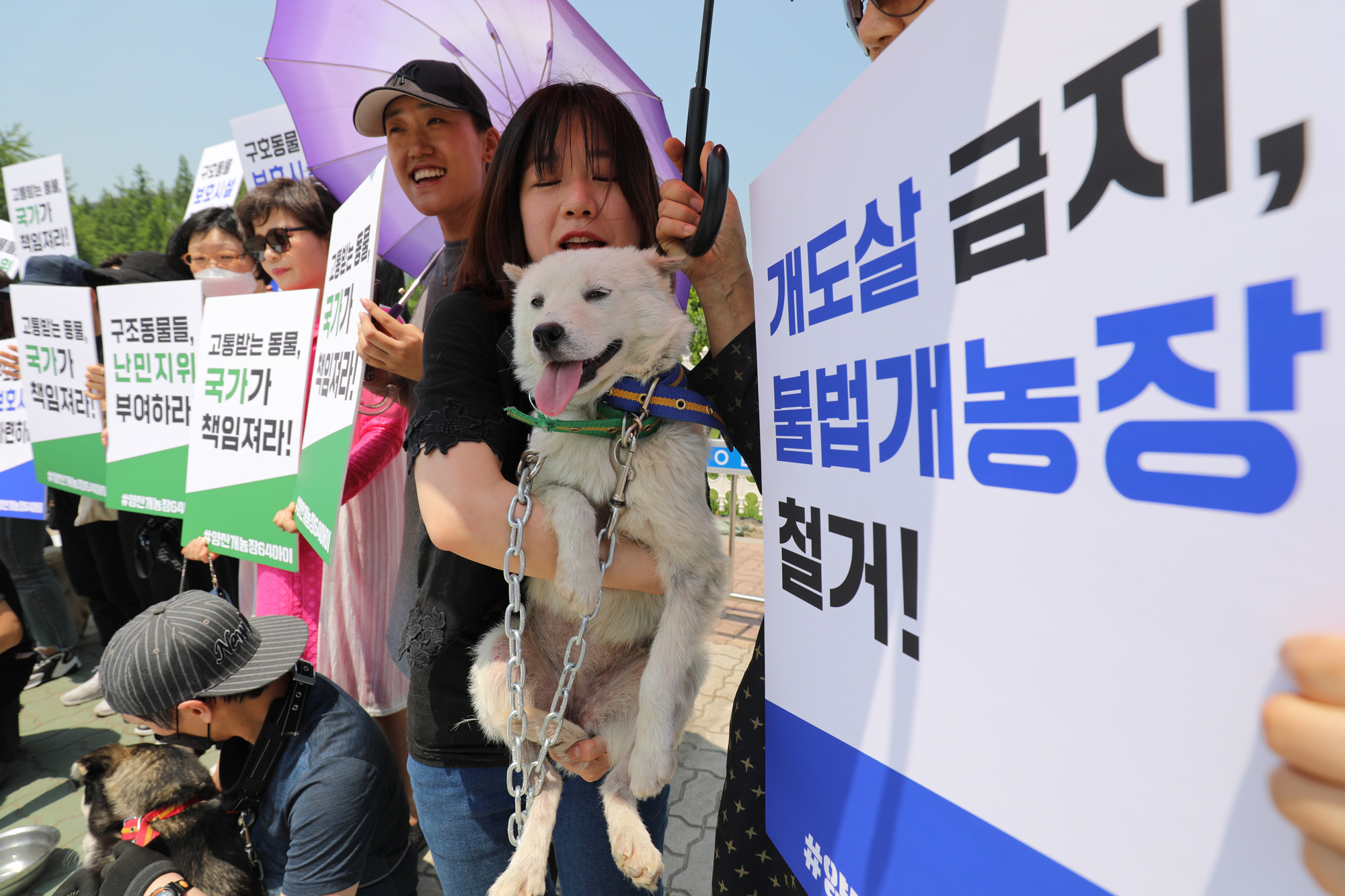 동물을사랑하는시민과개인동물보호가들;양산불법개농장;구조견보호소마련;동물보호소;양산개농장64아이