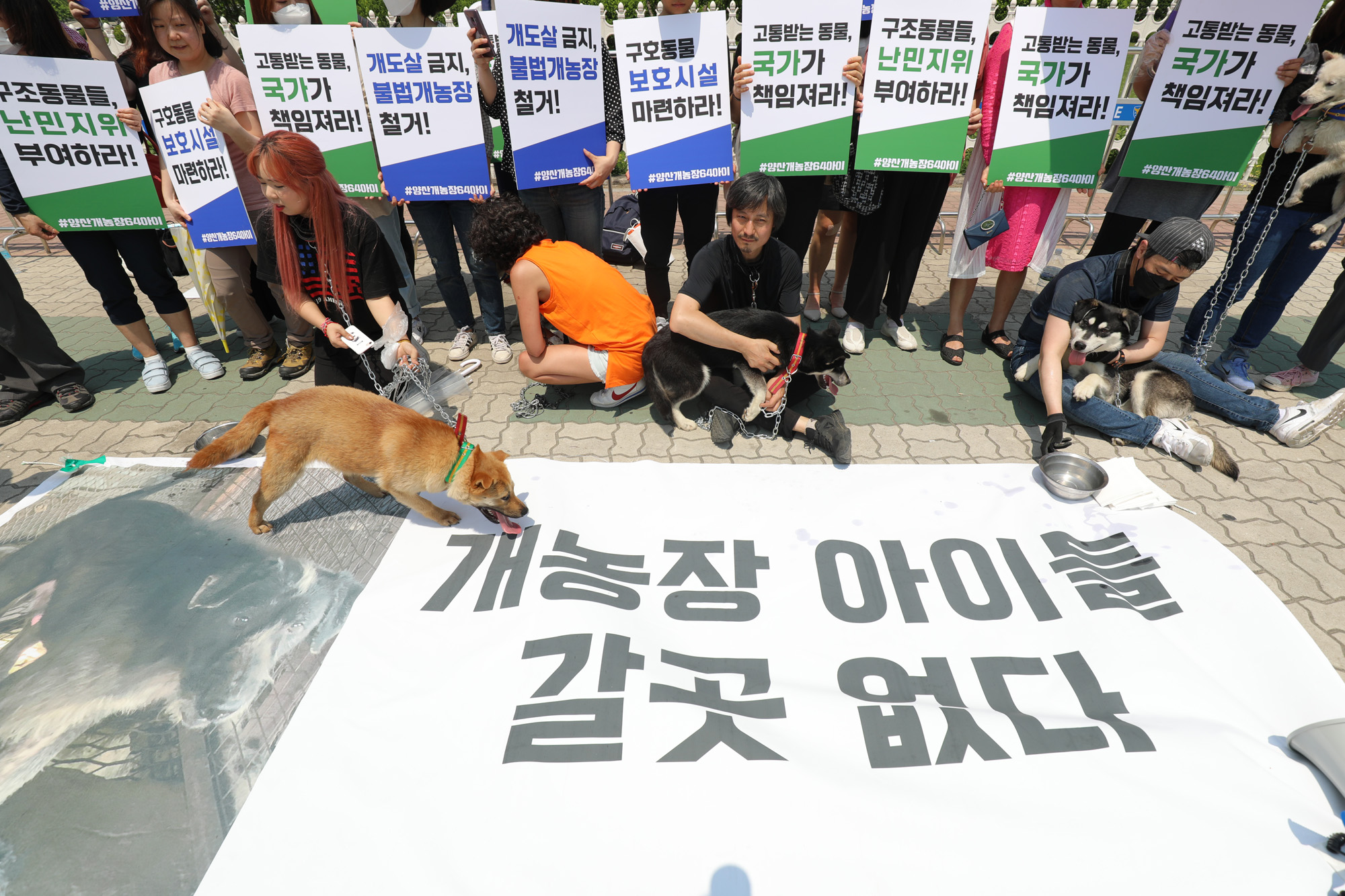 동물을사랑하는시민과개인동물보호가들;양산불법개농장;구조견보호소마련;동물보호소;양산개농장64아이