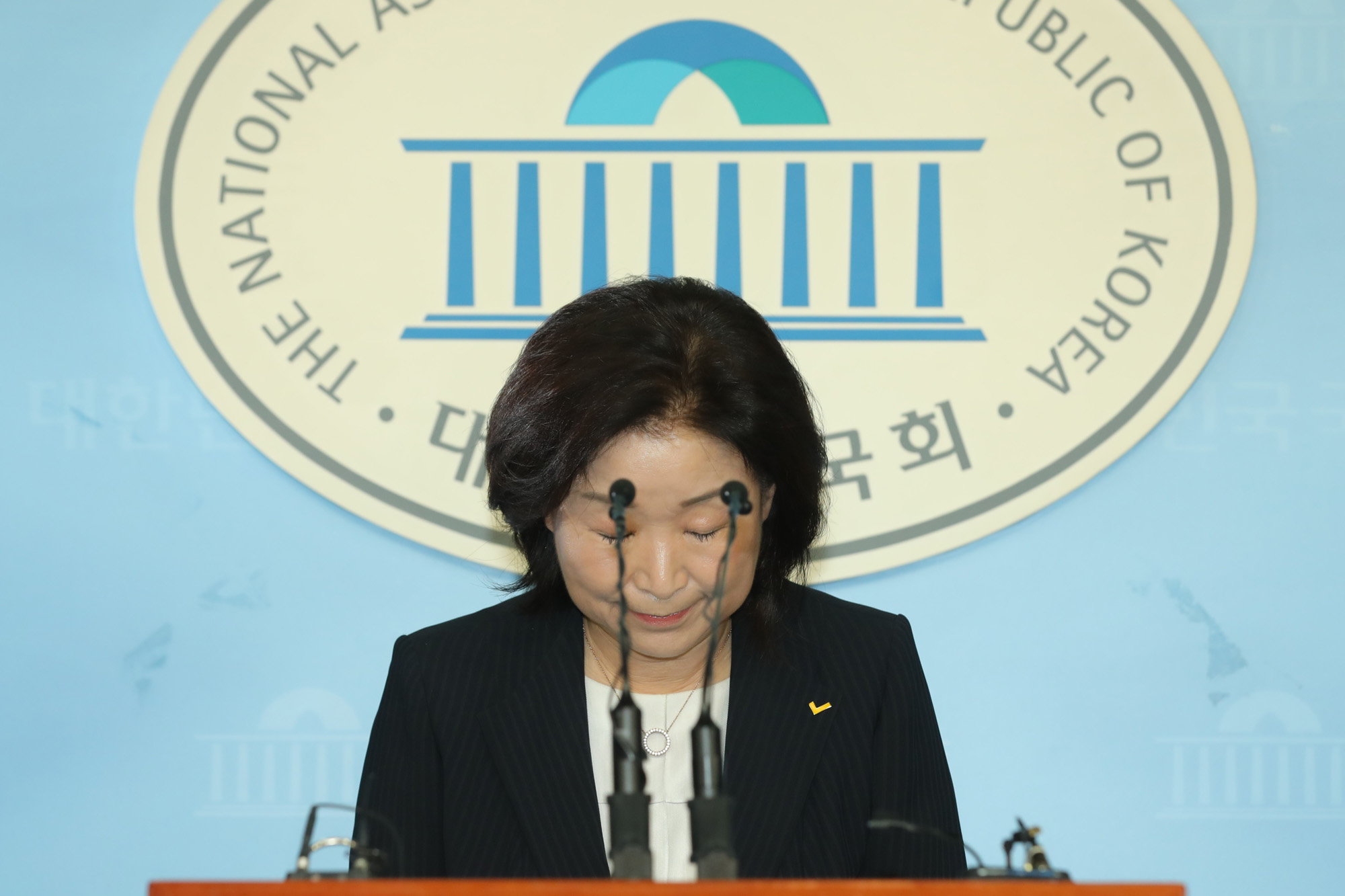 정의당;심상정의원;당대표출마기자회견;정의당대표출마