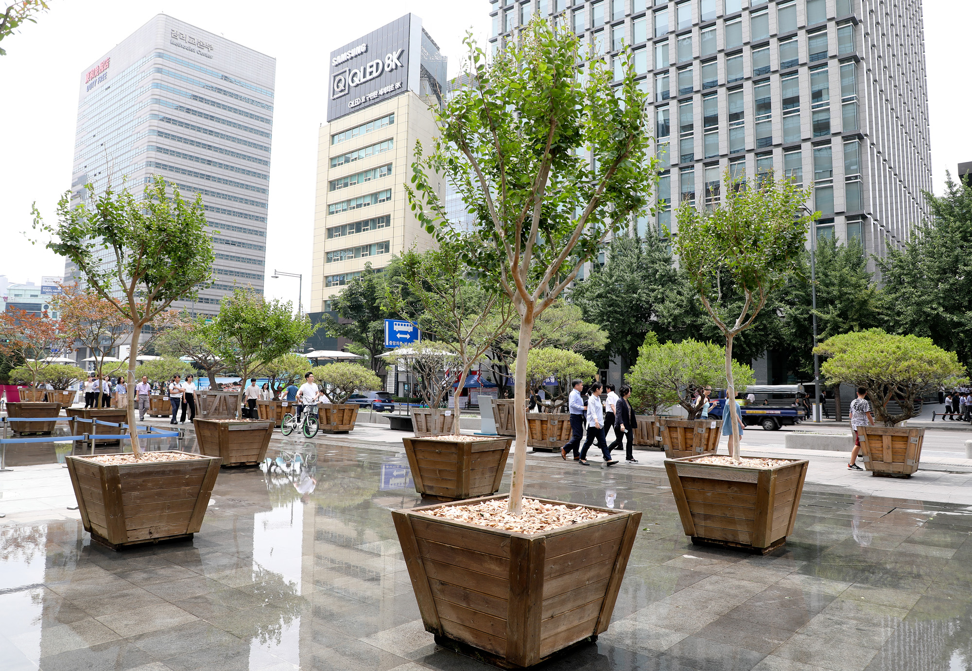 광화문광장;대형화분;우리공화당천막;대한애국당천막