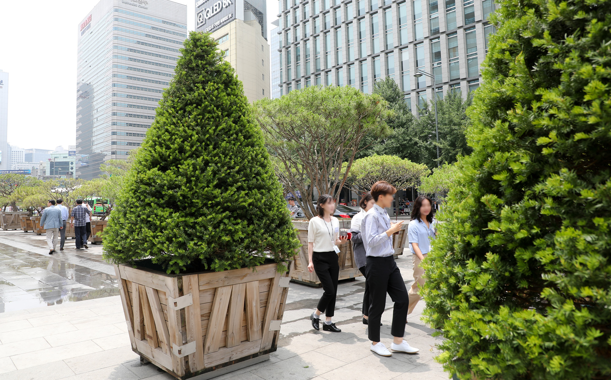 광화문광장;대형화분;우리공화당천막;대한애국당천막