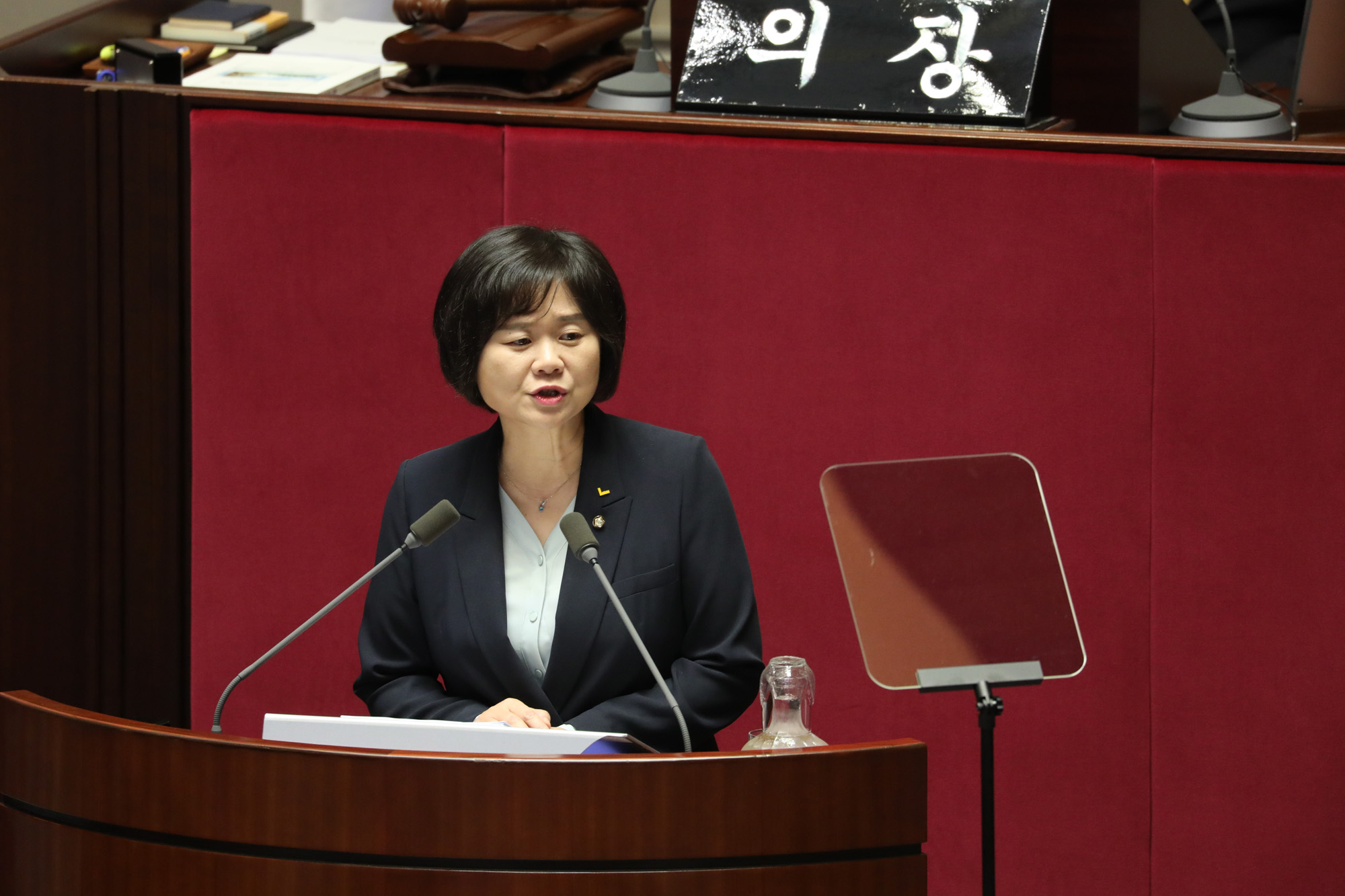 국회본회의;정의당이정미대표;비교섭단체대표연설