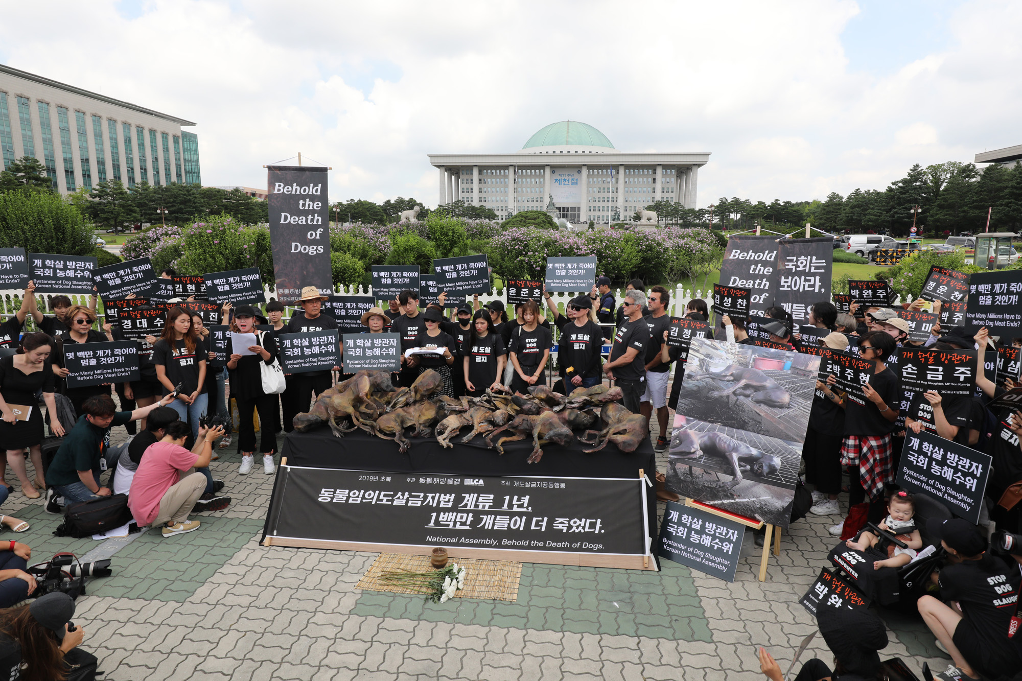 복날추모행동;초복;킴베이싱어;개도살금지;동물임의도살금지법