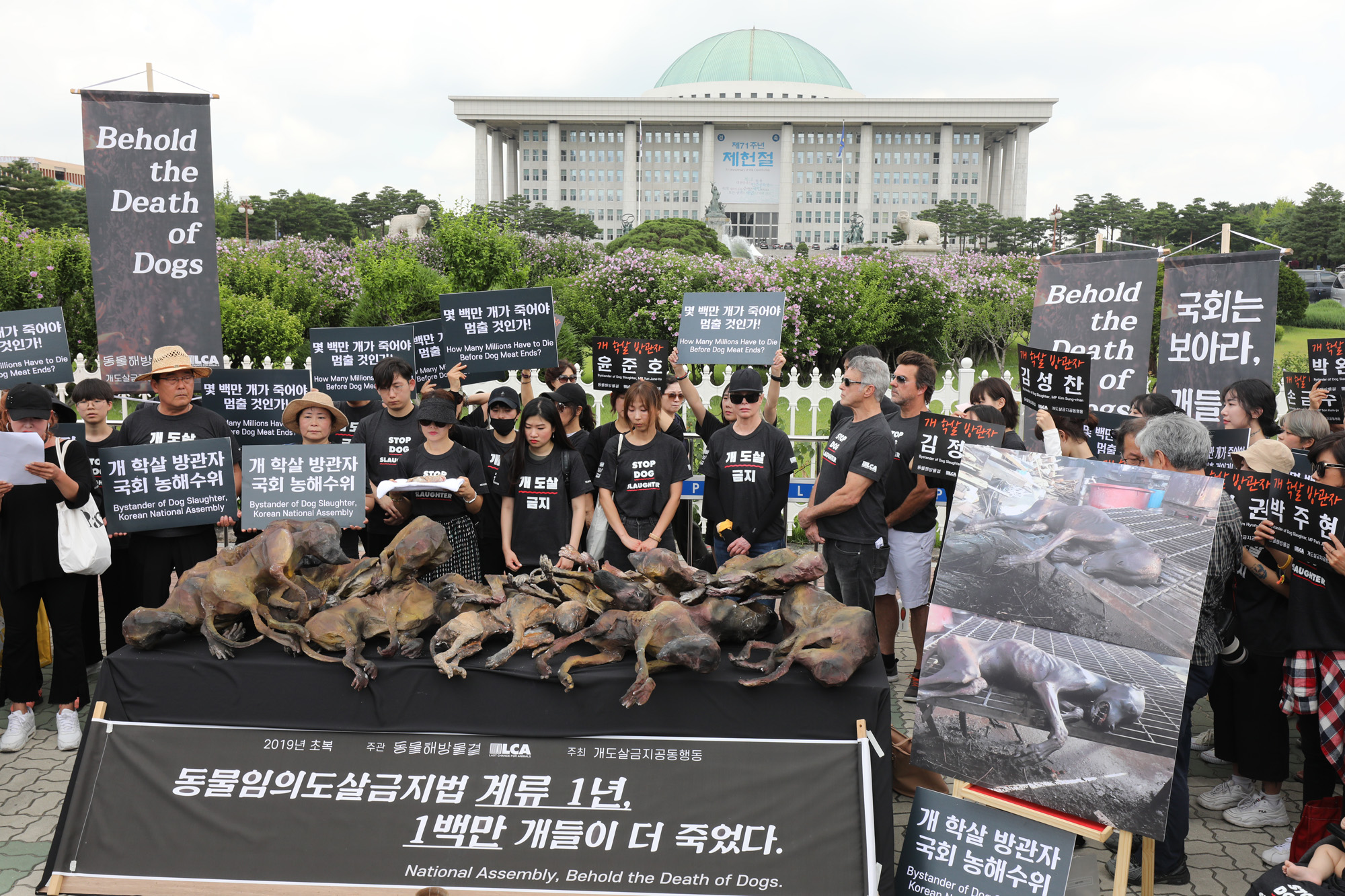 복날추모행동;초복;킴베이싱어;개도살금지;동물임의도살금지법