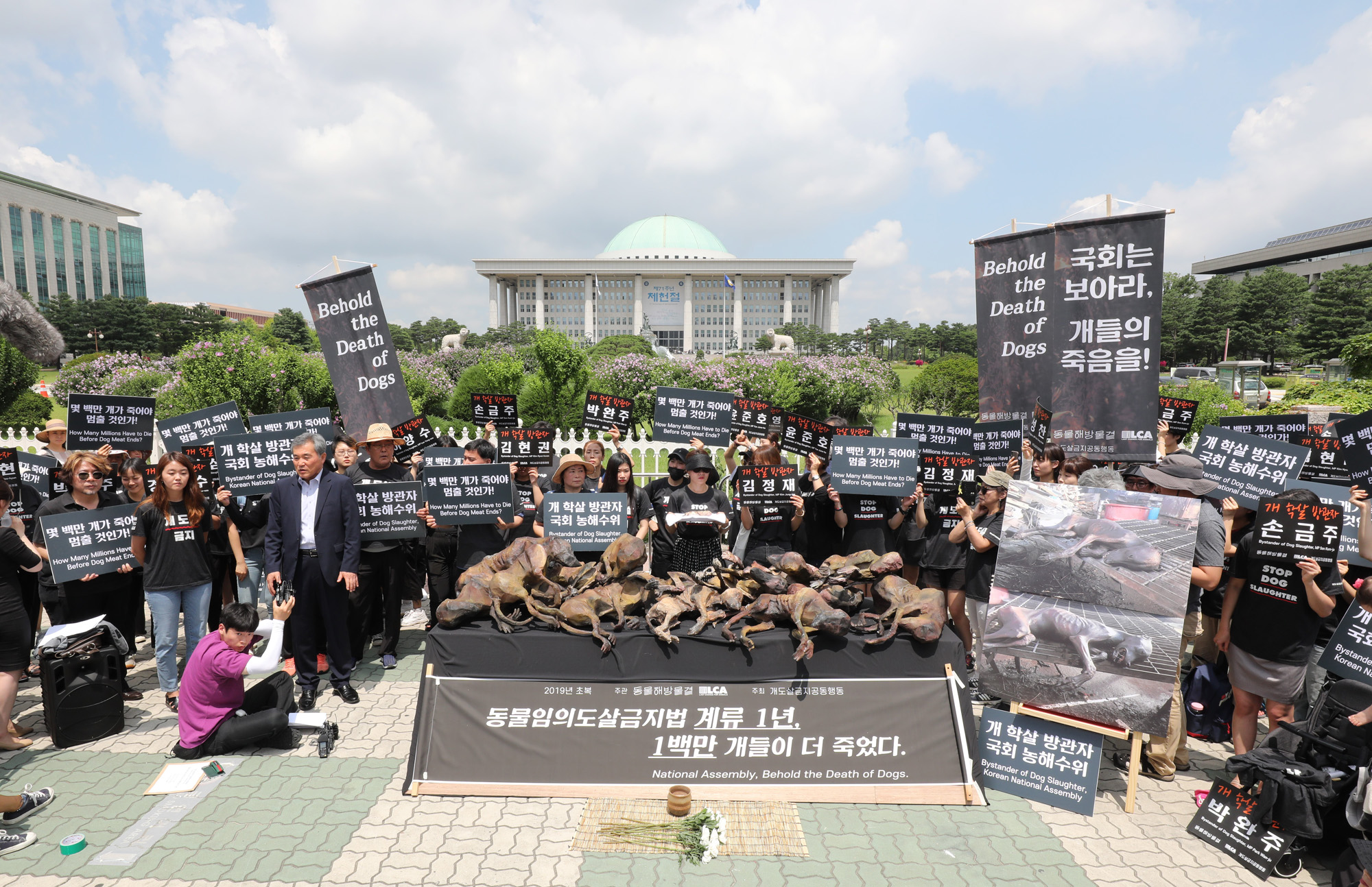 복날추모행동;초복;킴베이싱어;개도살금지;동물임의도살금지법;이상돈의원