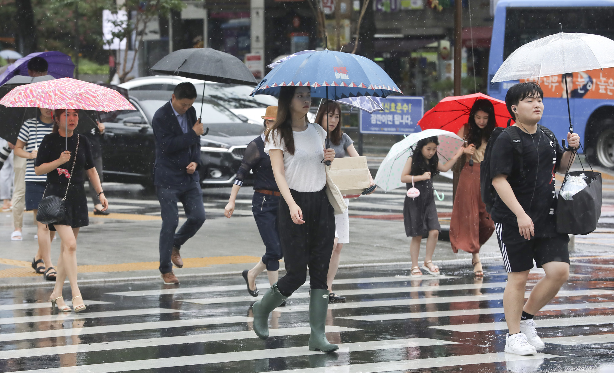 호우경보;장마;비;우산;장맛비;날씨