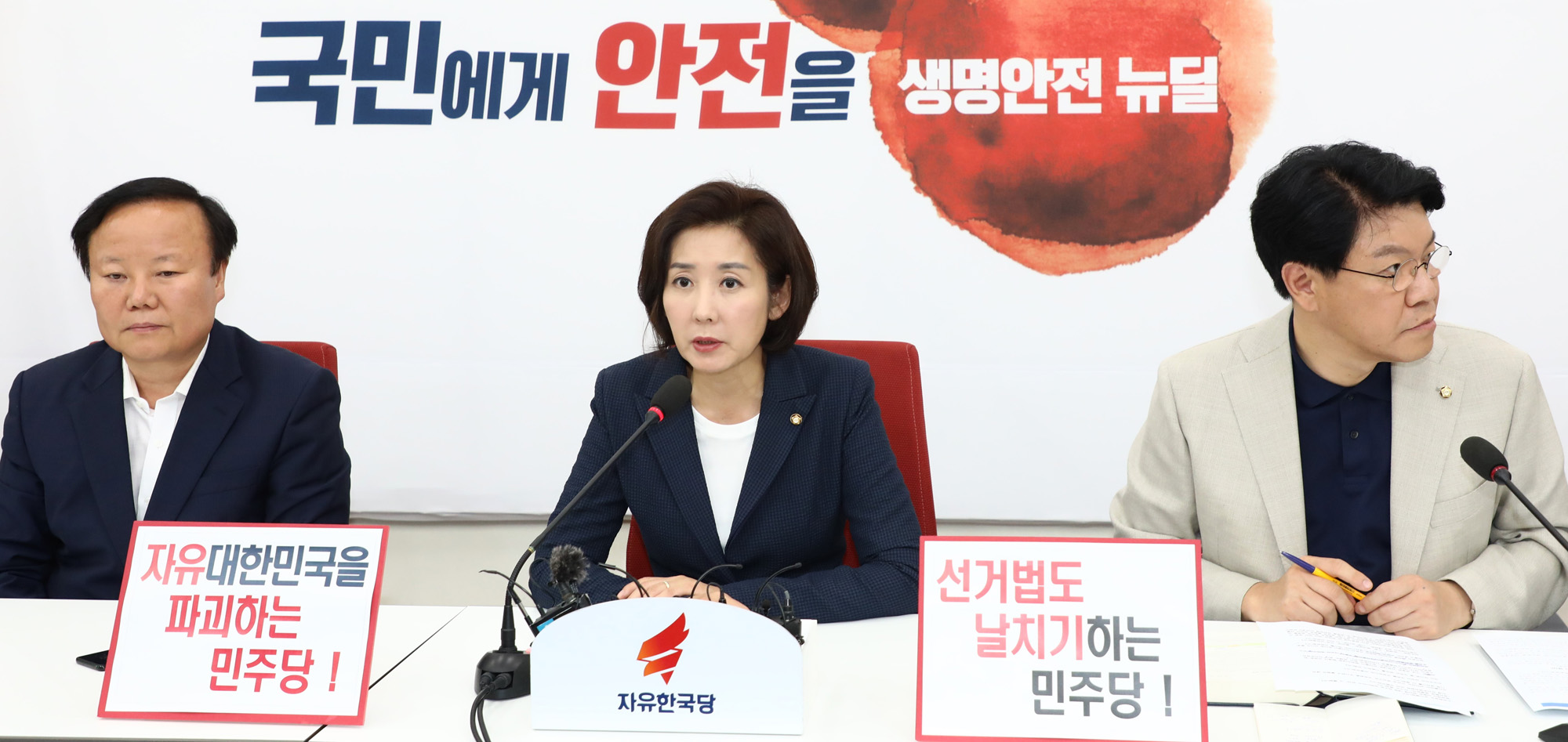 자유한국당;정개특위;선거개혁안날치기