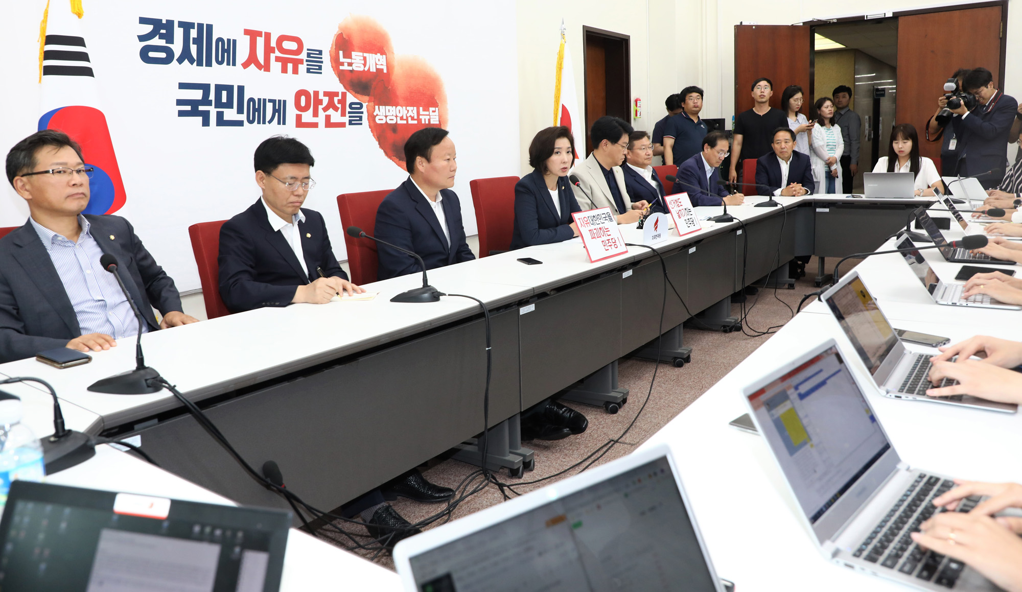 자유한국당;정개특위;선거개혁안날치기
