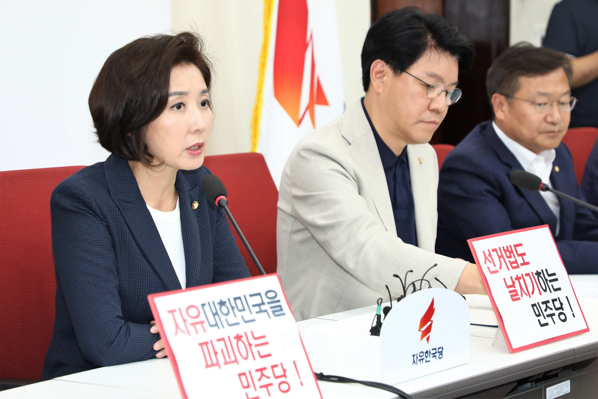 자유한국당;정개특위;선거개혁안날치기