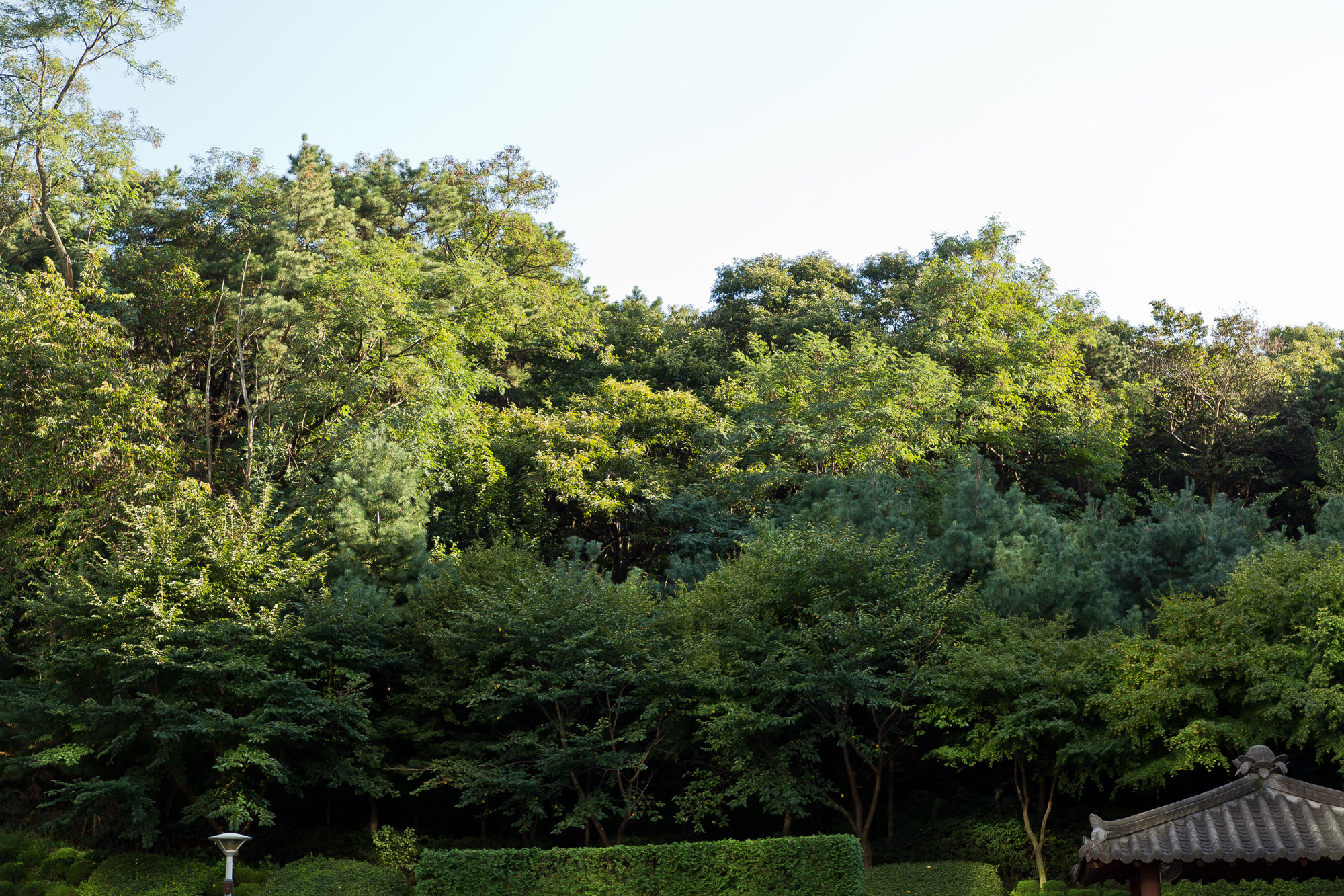 사회;사건사고;살인사건;미제사건;화성연쇄살인사건;연쇄살인마