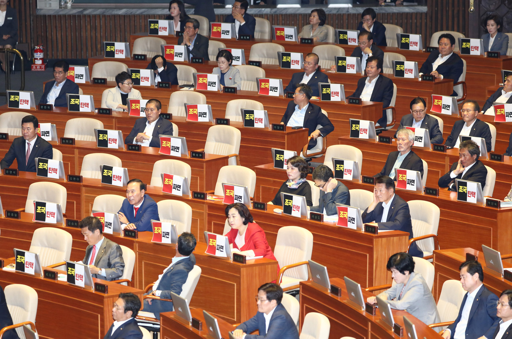 대정부질문;교육사회문화분야