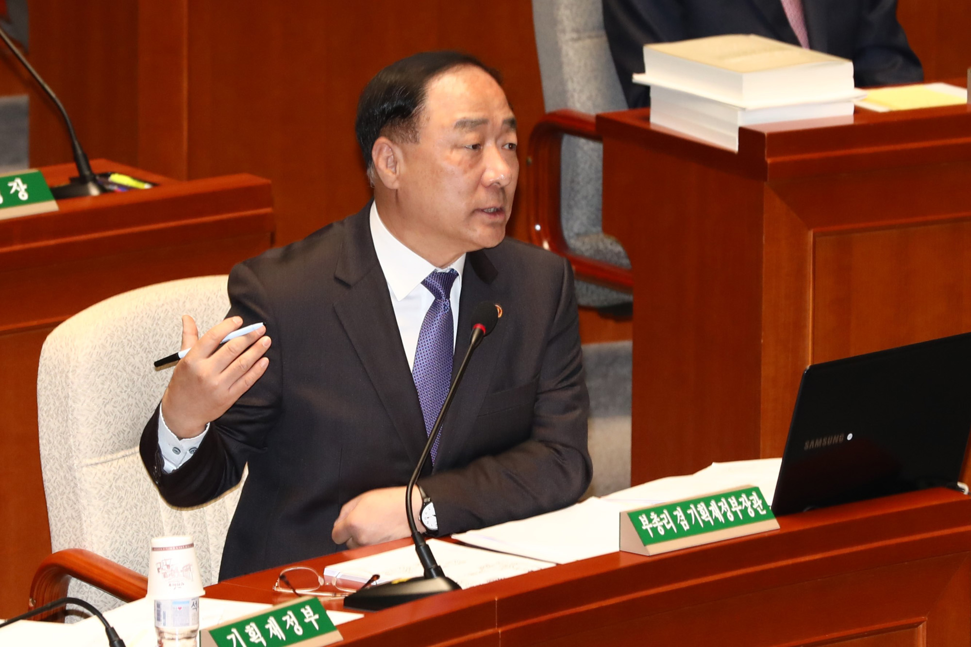 홍남기;경제부총리;예산결산특별위원회