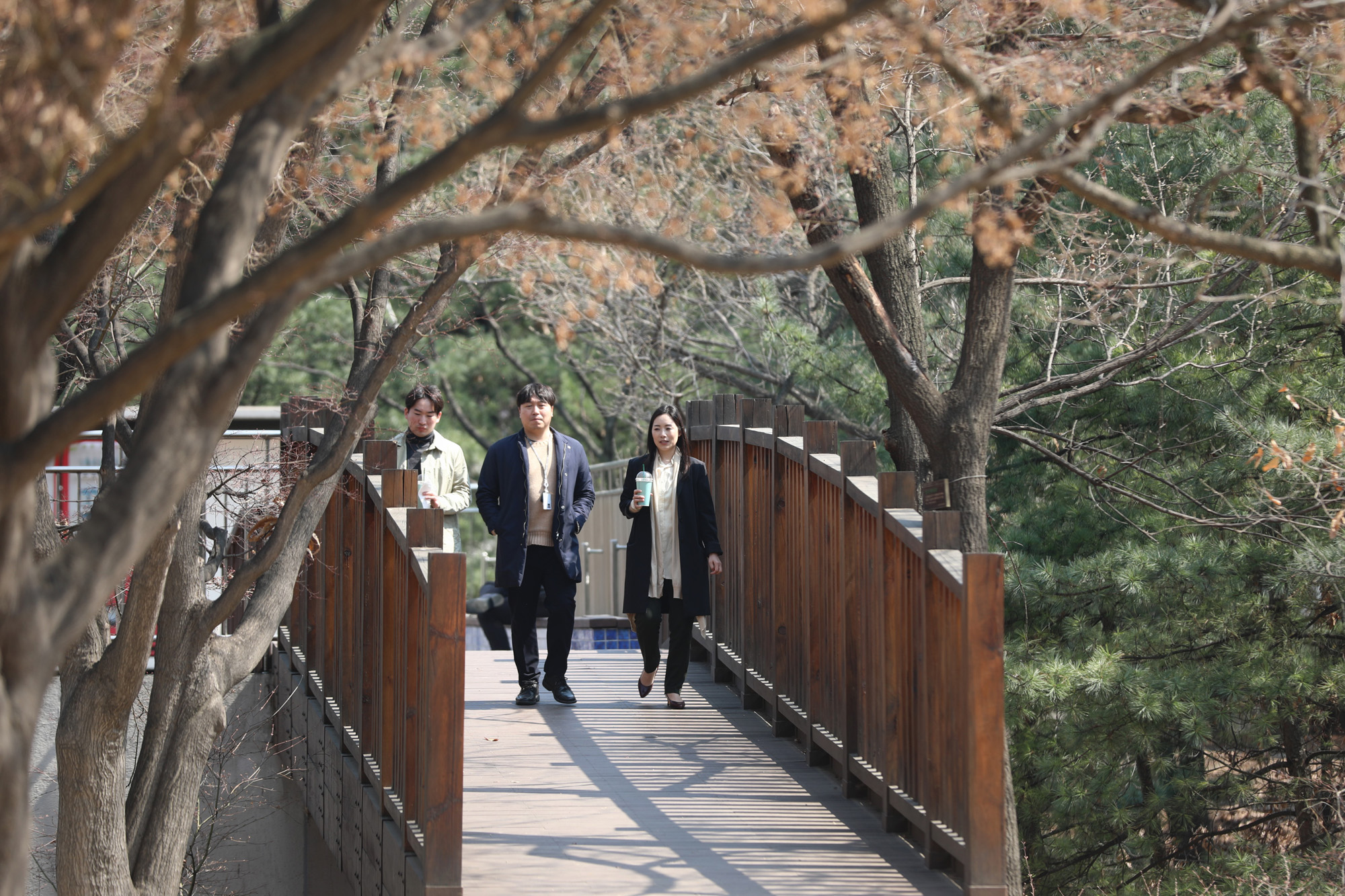 사회;건강;코로나19예방;오후산책