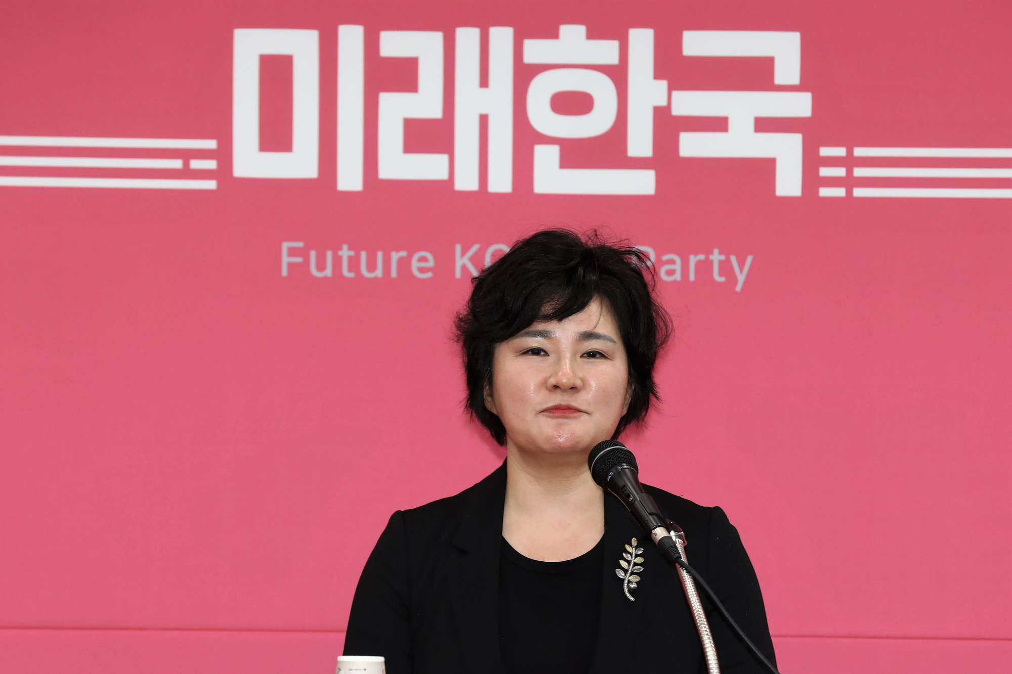 정치;국회;미래한국당비례대표후보자;조수진