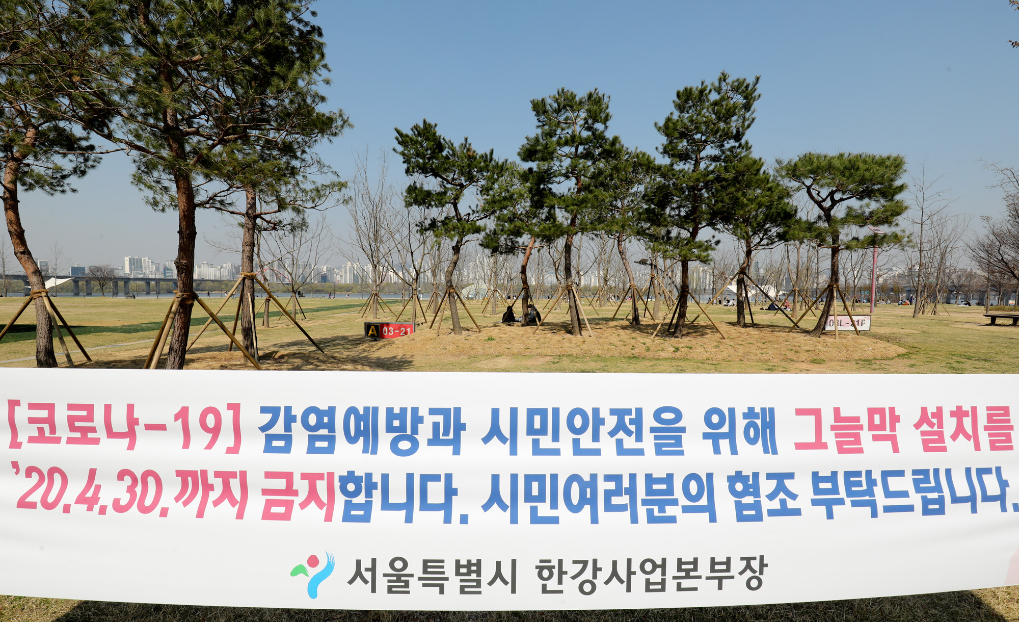 여의도벚꽃;여의도벚꽃축제;벚꽃축제취소;여의도취소;여의도사회적거리두기