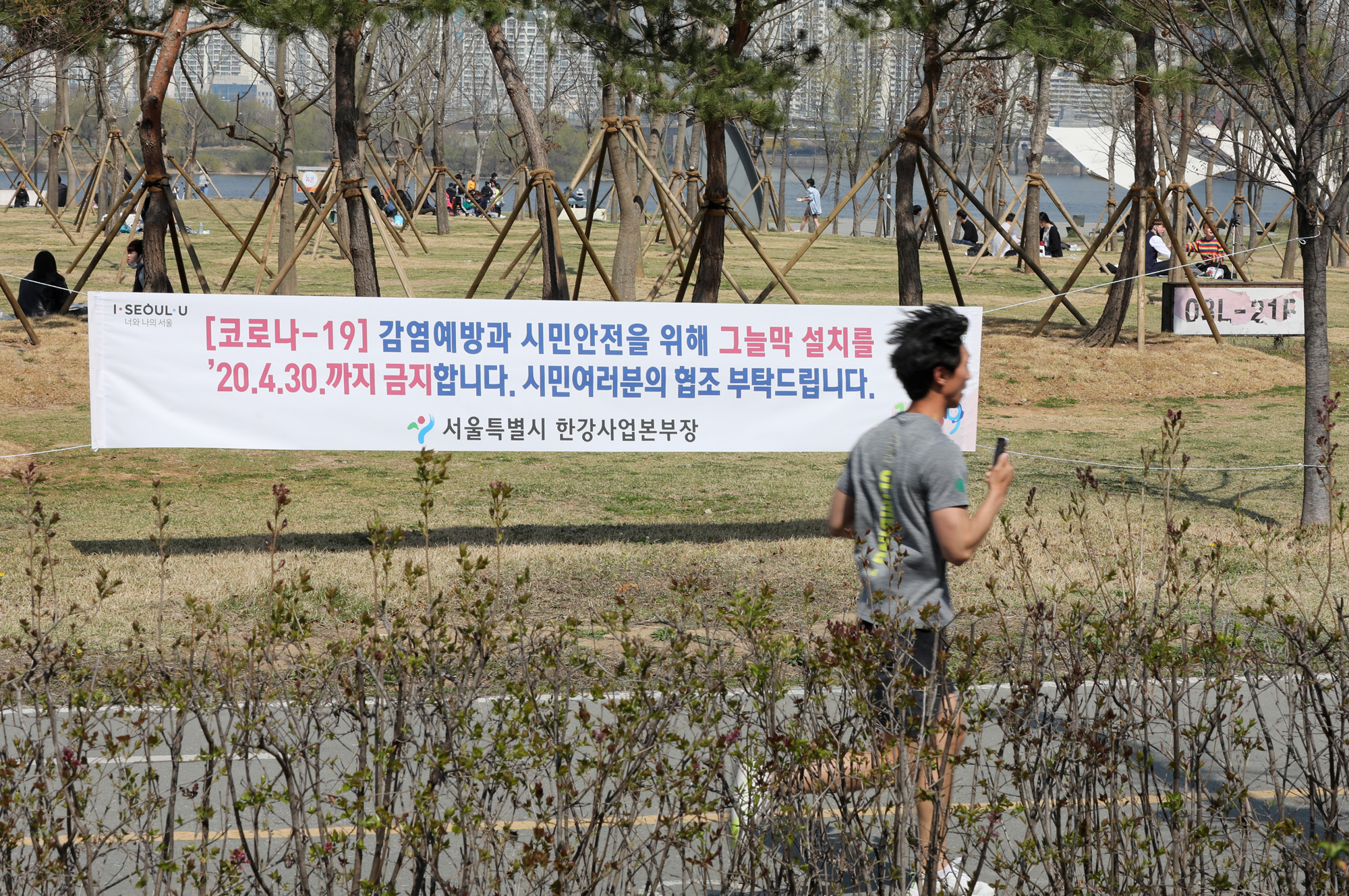 여의도벚꽃;여의도벚꽃축제;벚꽃축제취소;여의도취소;여의도사회적거리두기