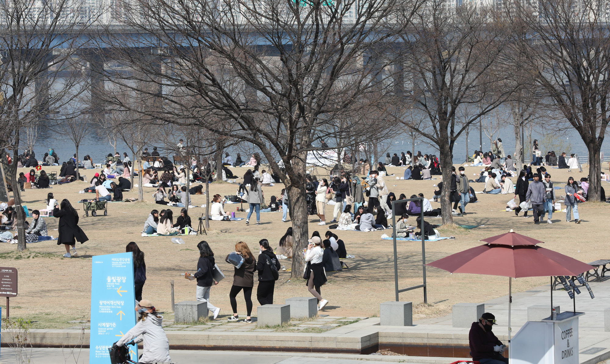 여의도벚꽃;여의도벚꽃축제;벚꽃축제취소;여의도취소;여의도사회적거리두기