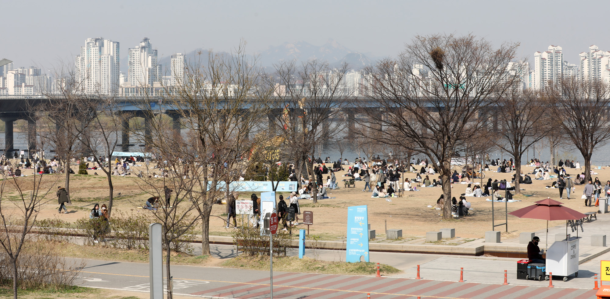 여의도벚꽃;여의도벚꽃축제;벚꽃축제취소;여의도취소;여의도사회적거리두기
