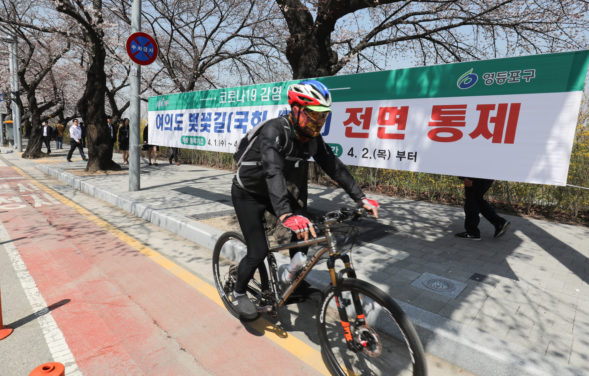 여의도벚꽃;여의도벚꽃축제;벚꽃축제취소;여의도취소;여의도사회적거리두기