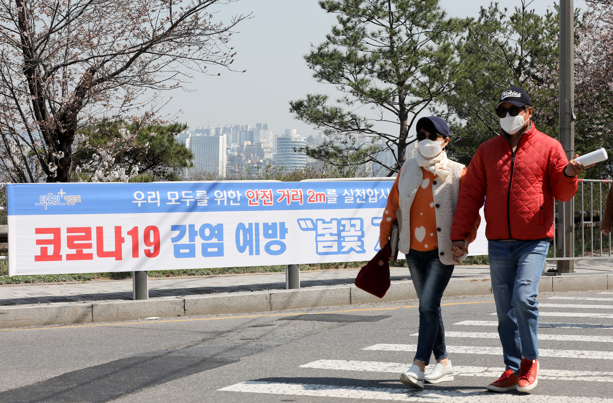 여의도벚꽃;여의도벚꽃축제;벚꽃축제취소;여의도취소;여의도사회적거리두기