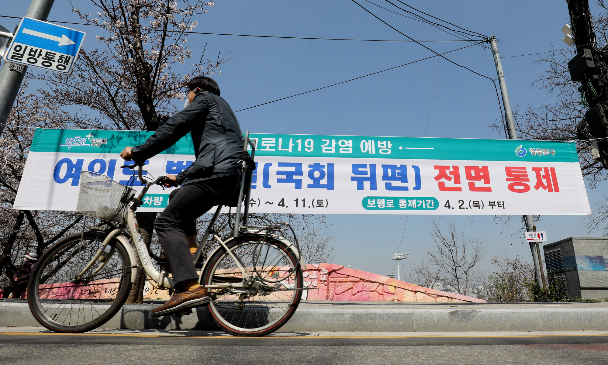 여의도벚꽃;여의도벚꽃축제;벚꽃축제취소;여의도취소;여의도사회적거리두기