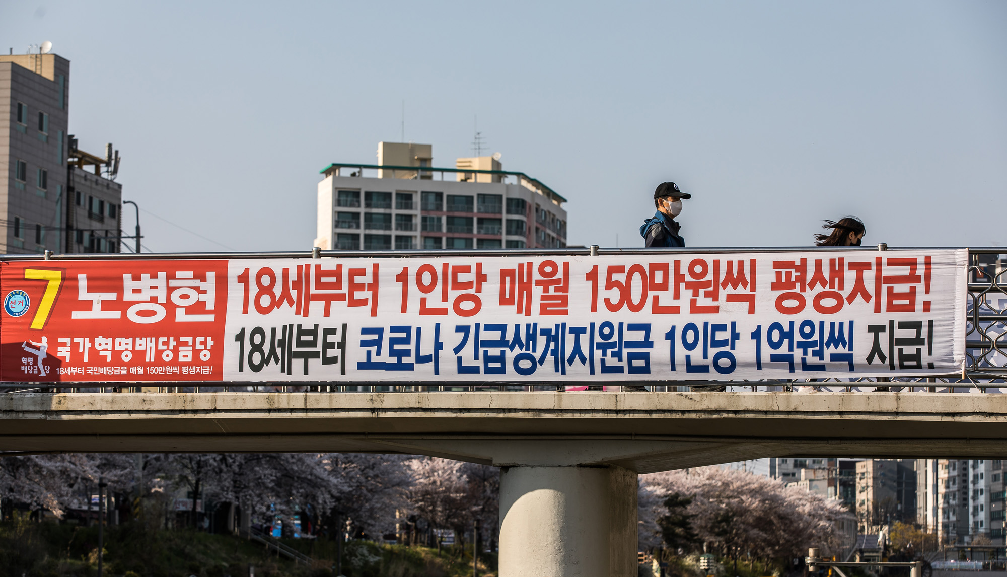 정치;총선;국회의원선거;제21대국회의원선거;정당;국가혁명배당금당;허경영;노병현;은평구갑