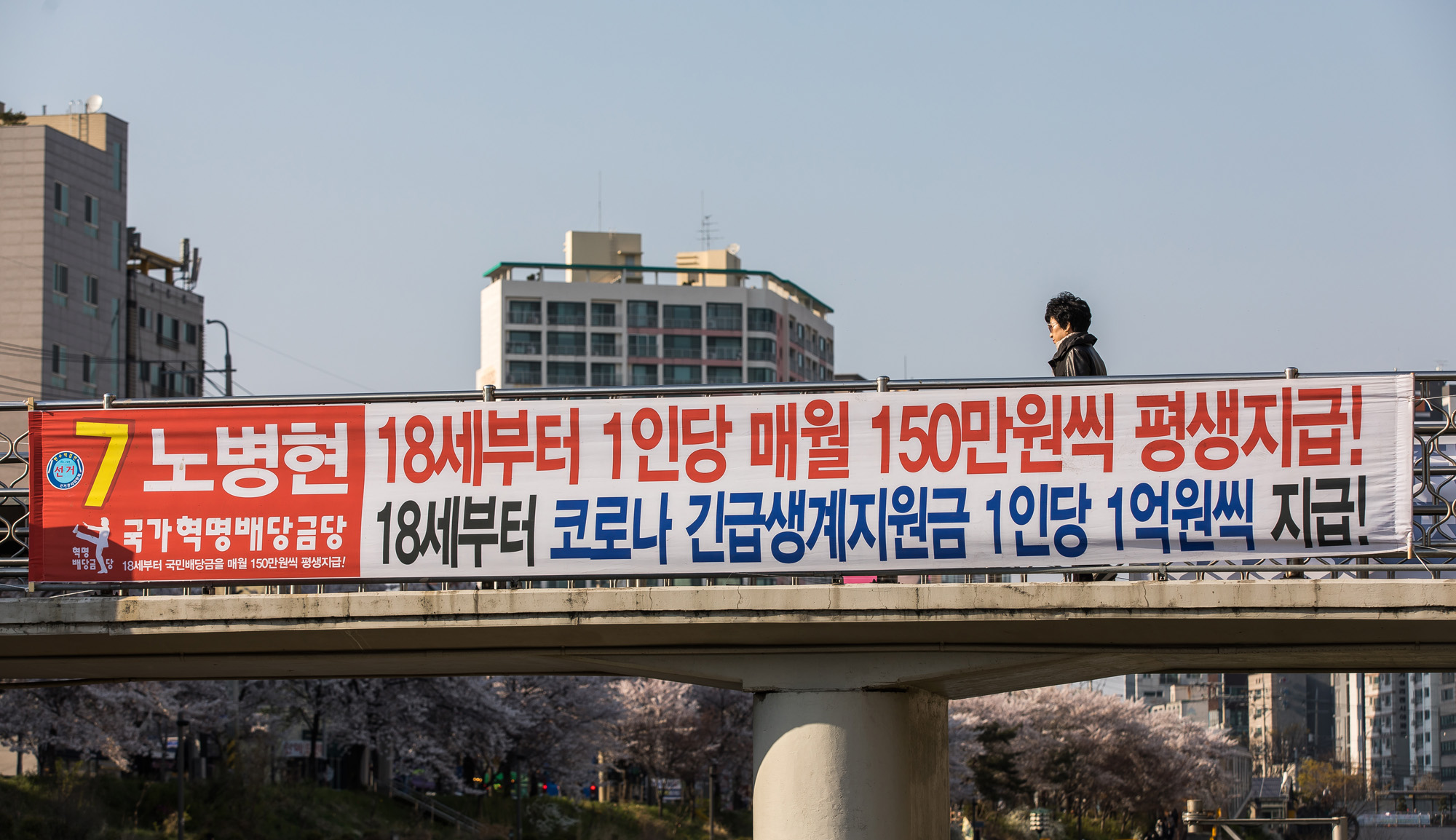 정치;총선;국회의원선거;제21대국회의원선거;정당;국가혁명배당금당;허경영;노병현;은평구갑