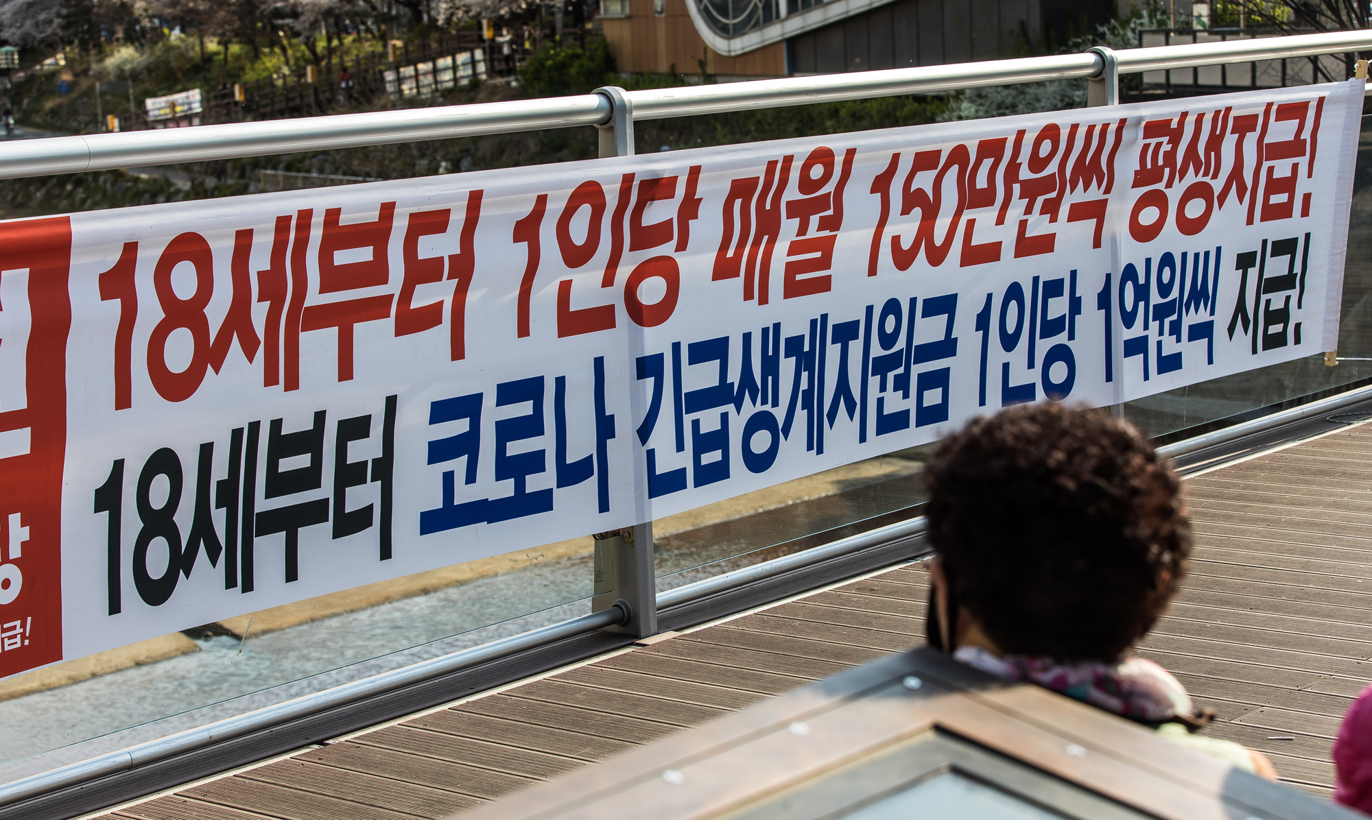 정치;총선;국회의원선거;제21대국회의원선거;정당;국가혁명배당금당;허경영;노병현;은평구갑