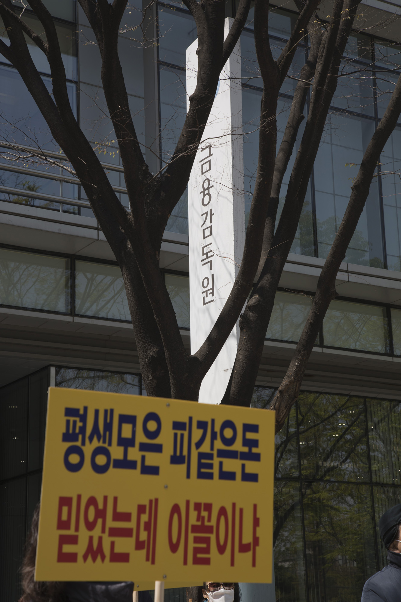 사회;집회;시위;라임사태;대신증권;금융감독원;금감원