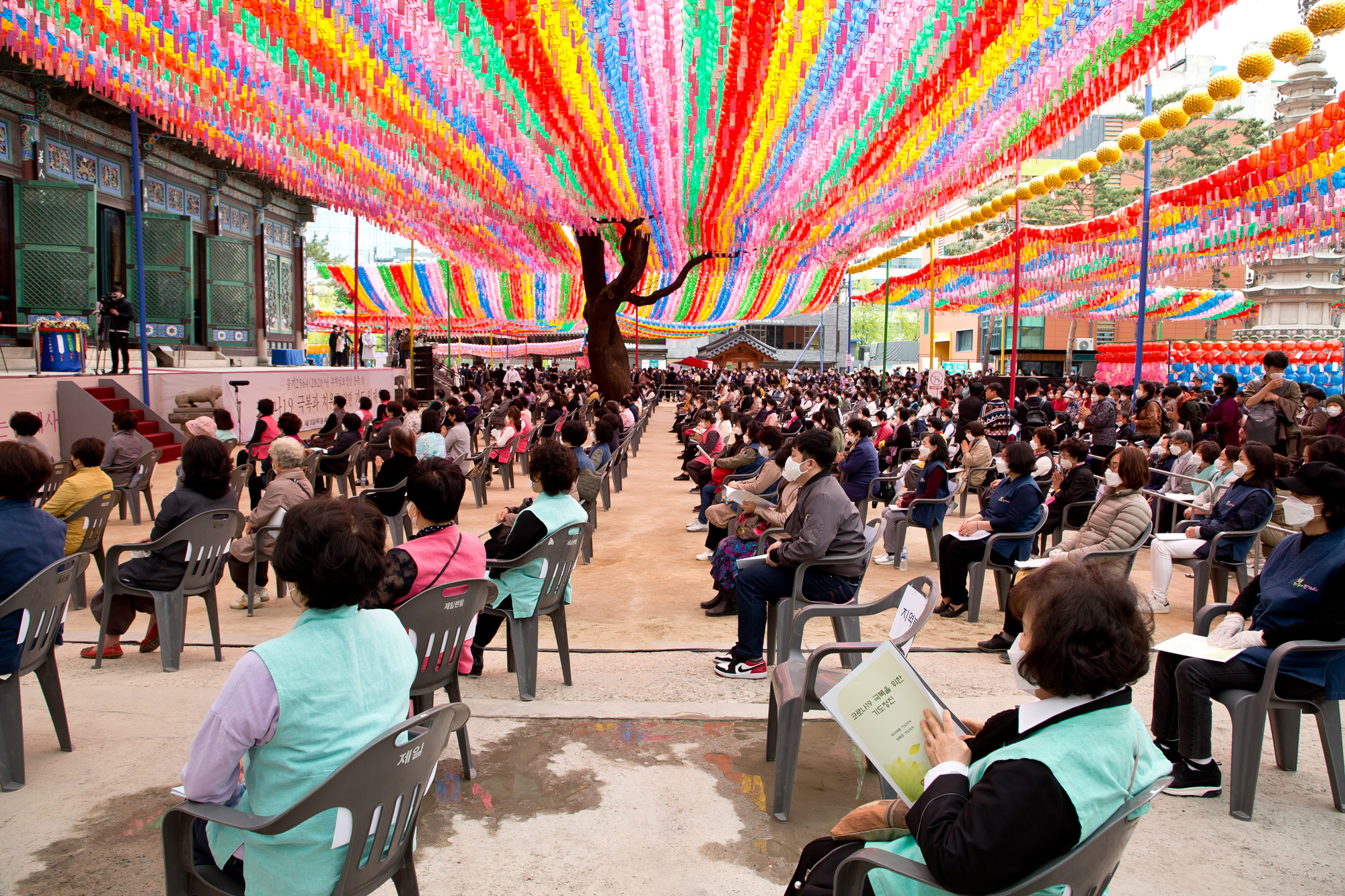 사회 종교 불교 조계사 부처님 오신날 코로나
