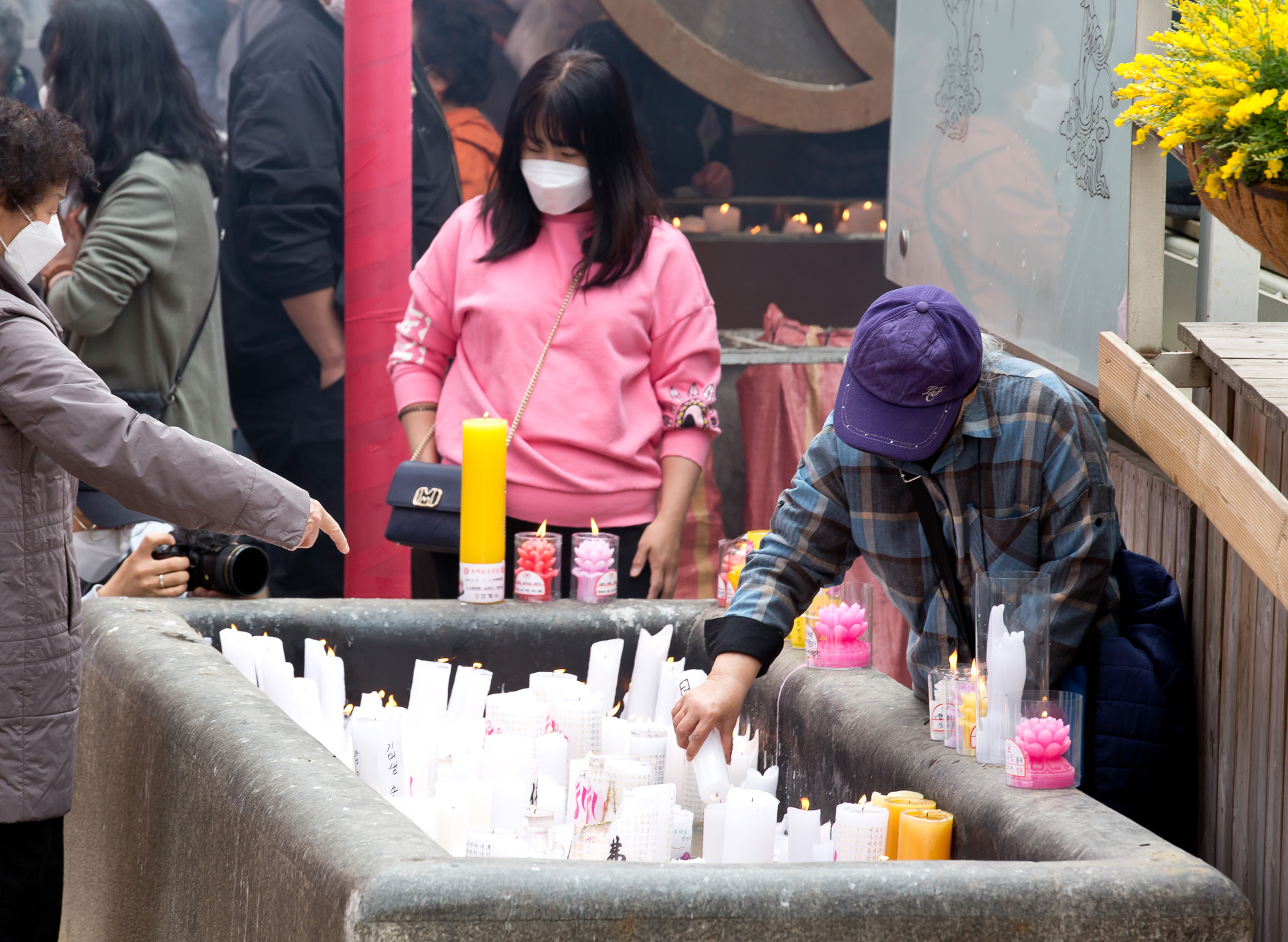 사회 종교 불교 조계사 부처님 오신날 코로나